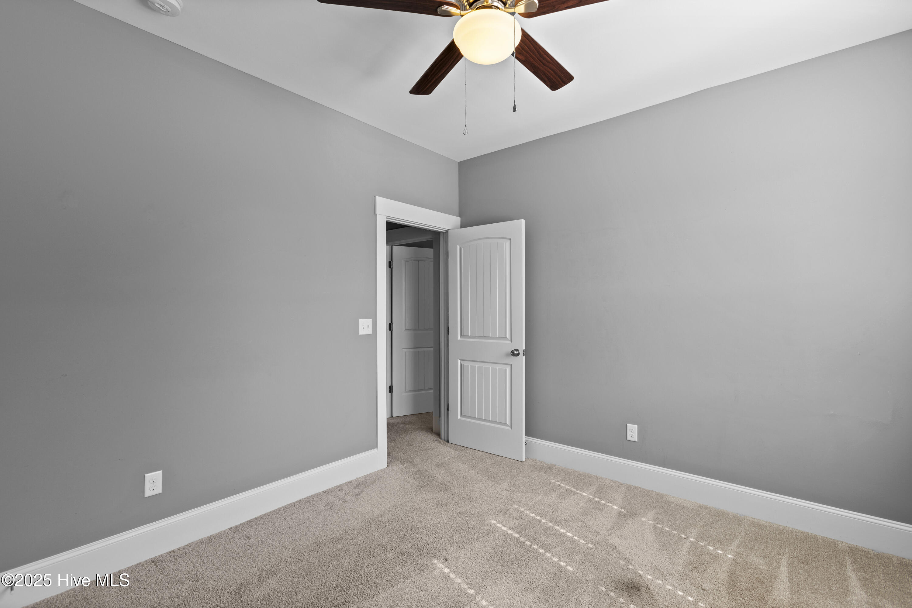 100569524 | Photo 23