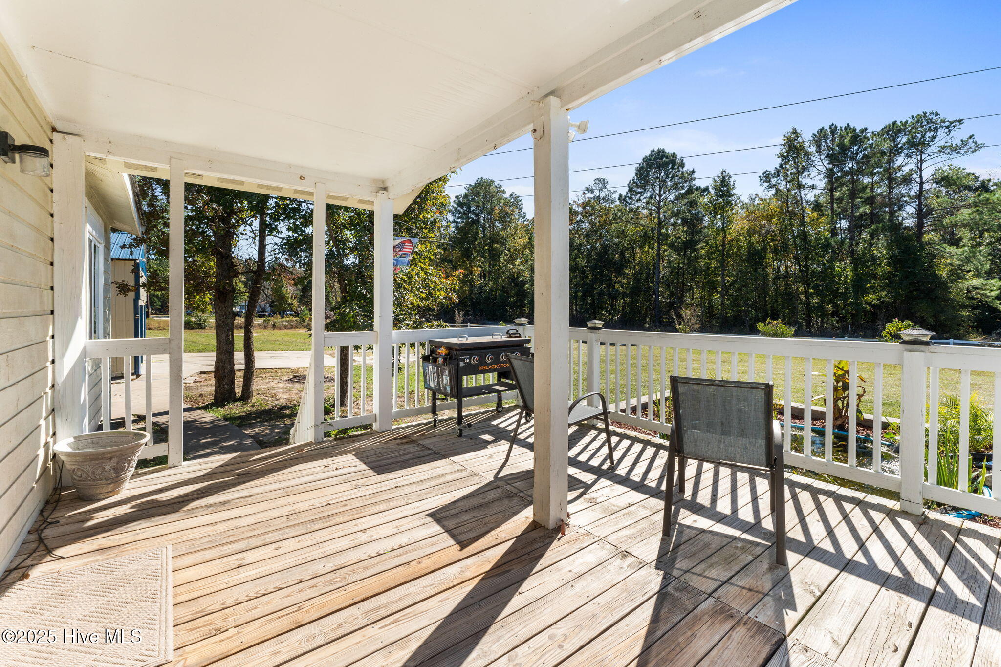 100534083 | Photo 19