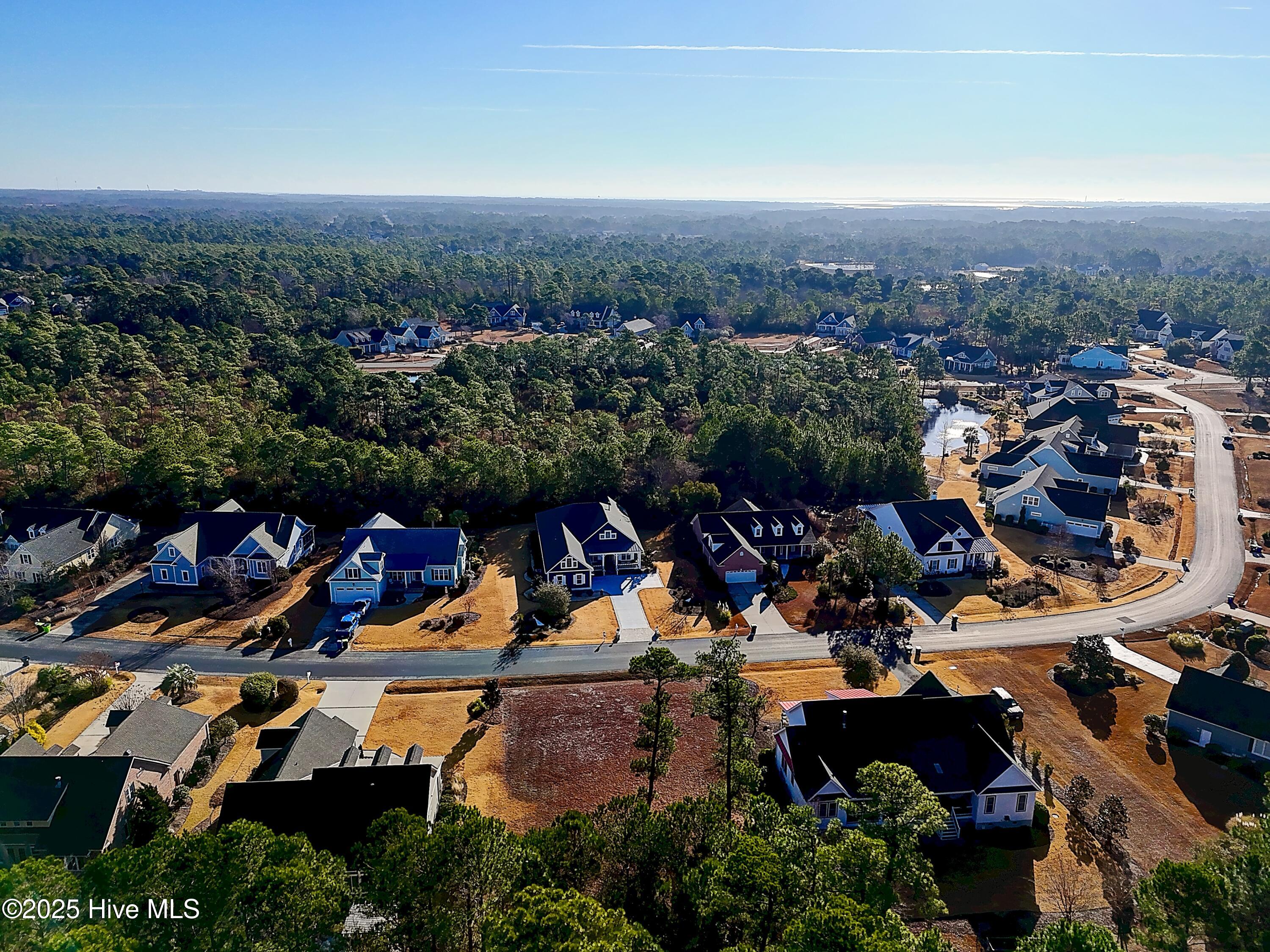 100546693 | Photo 12