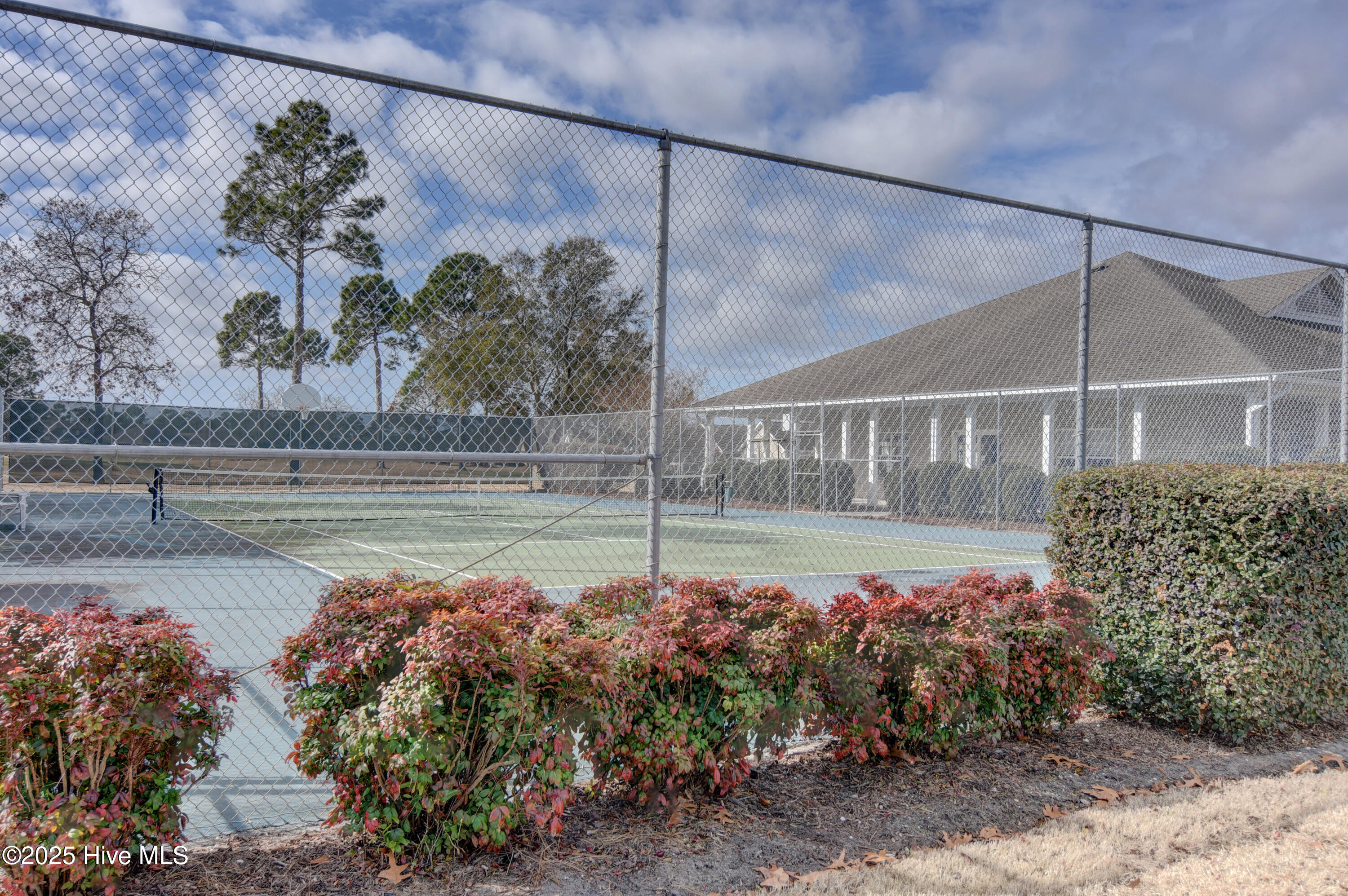 100534065 | Photo 41