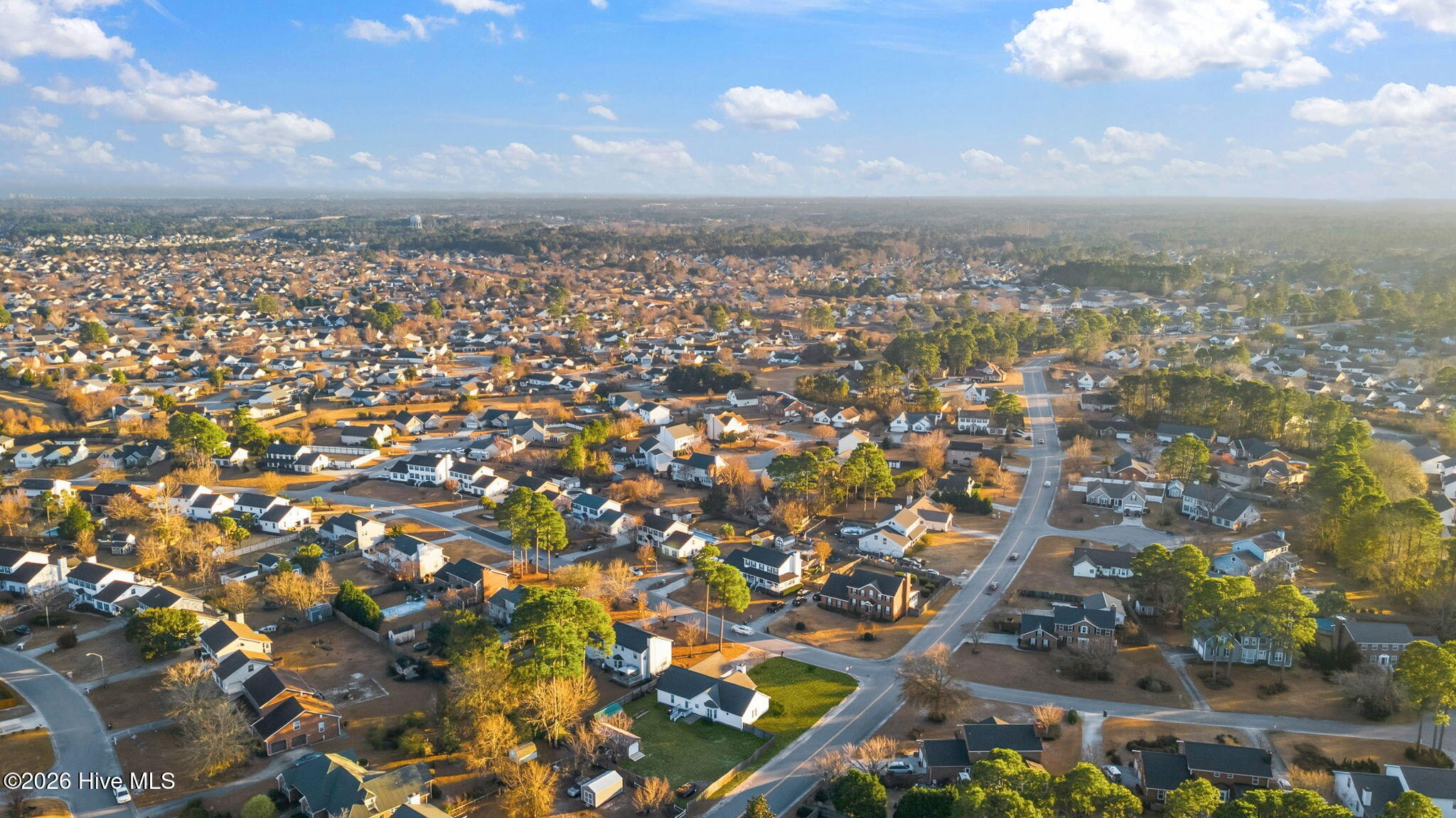 100548117 | Photo 52