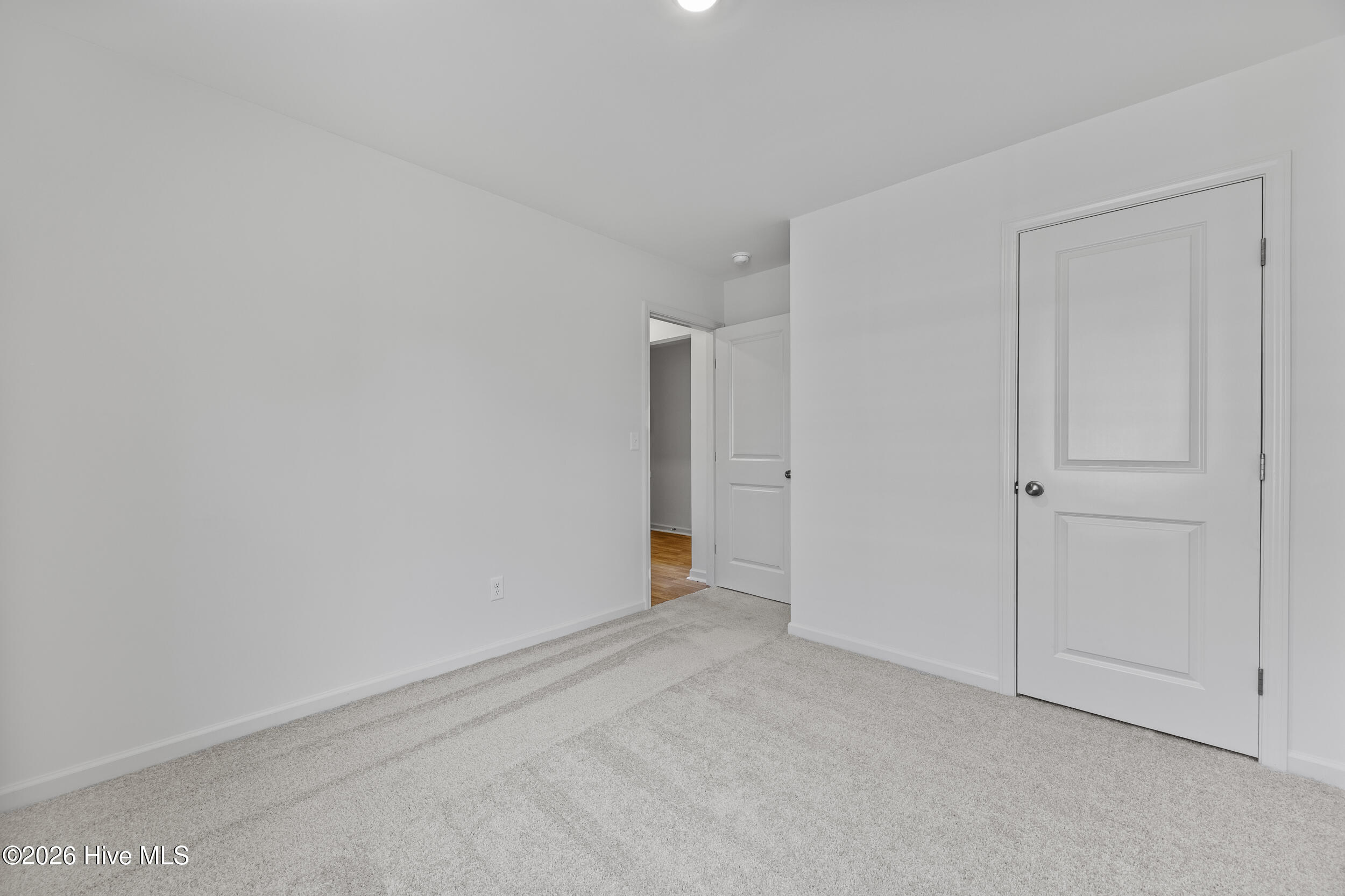 100570048 | Photo 13