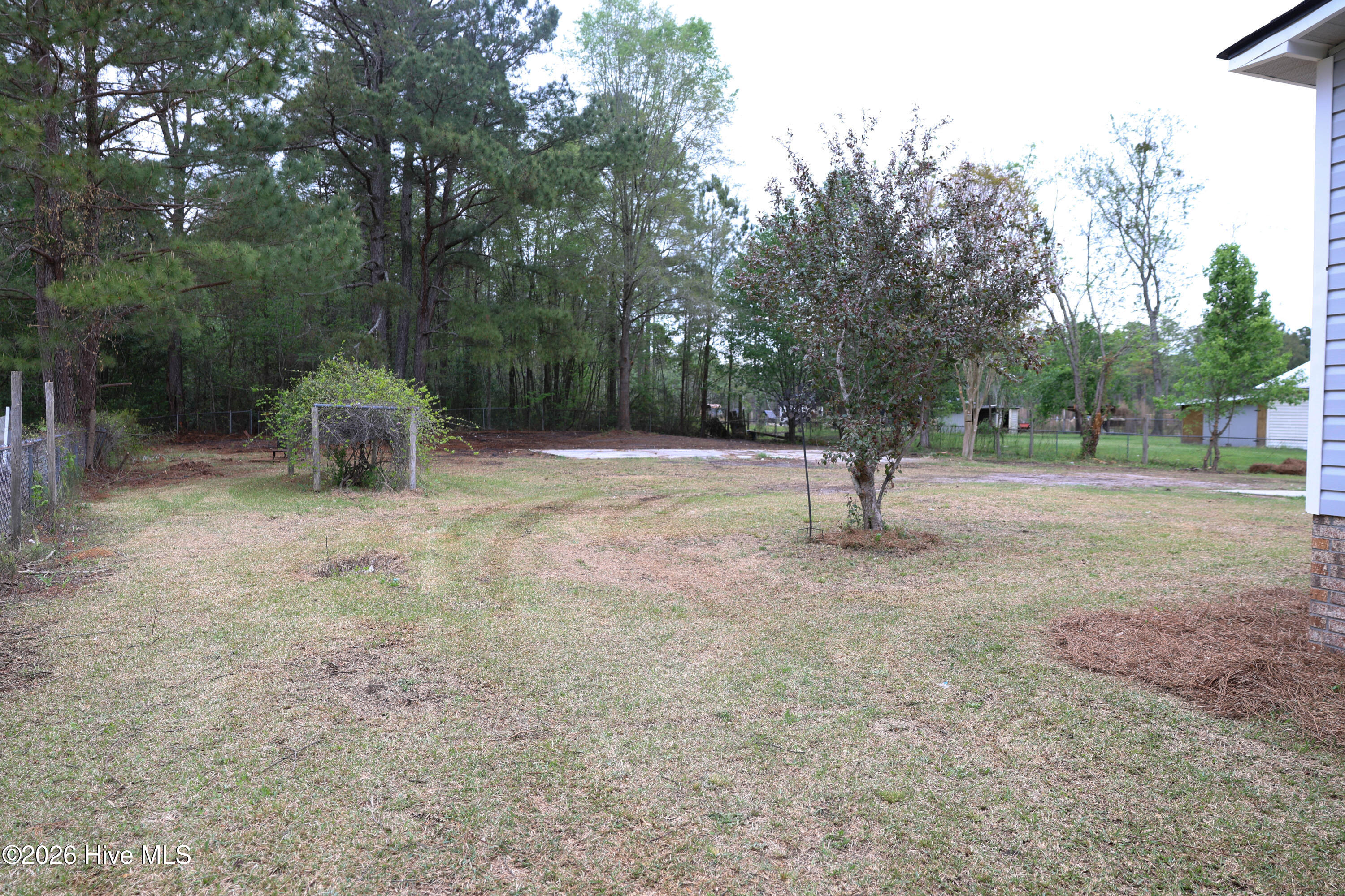 100567859 | Photo 43