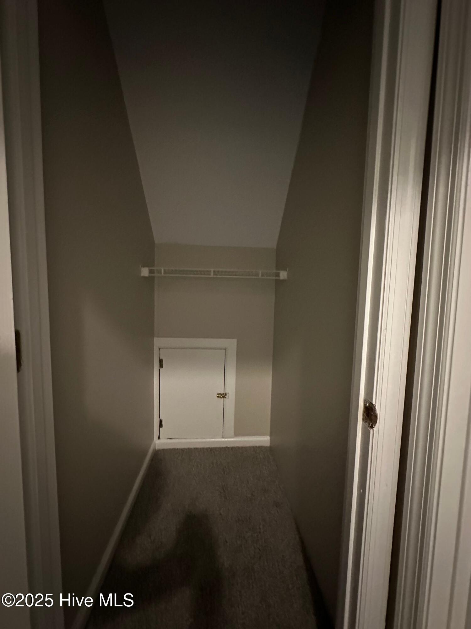 100533896 | Photo 23