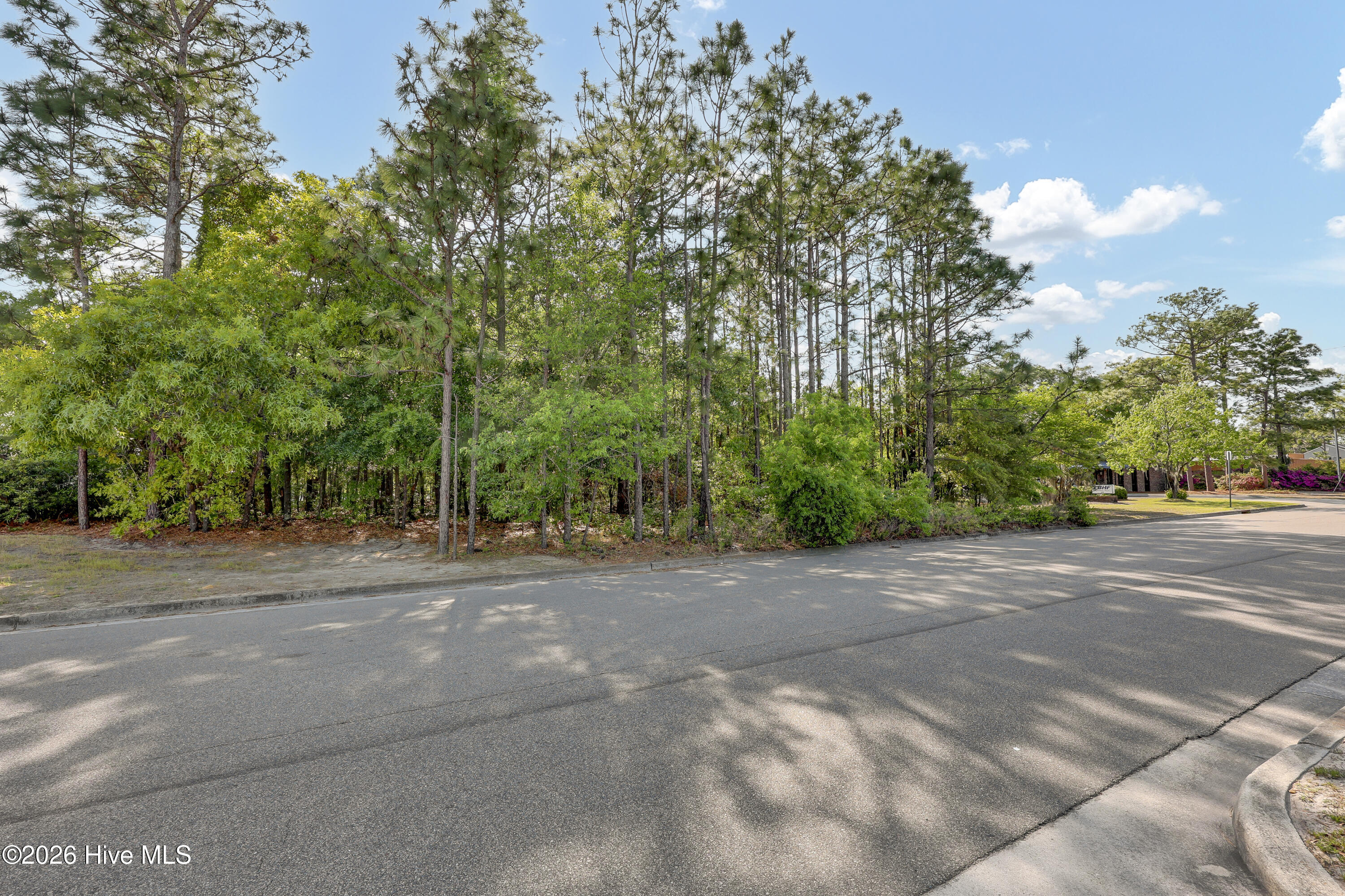 100567472 | Photo 20