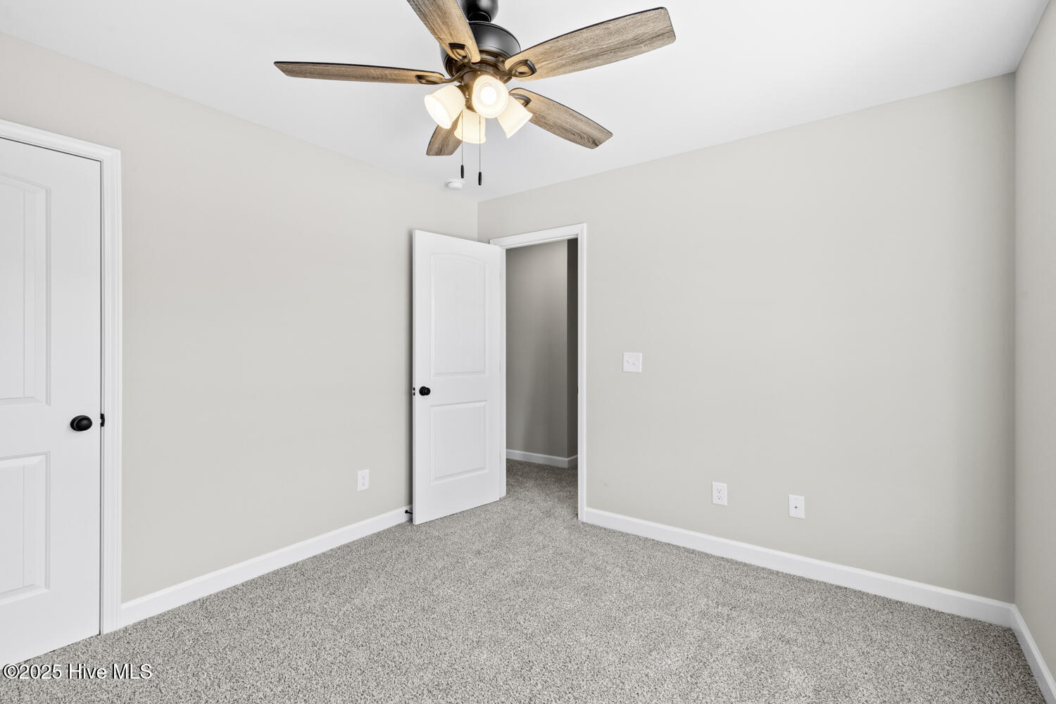 100539623 | Photo 19