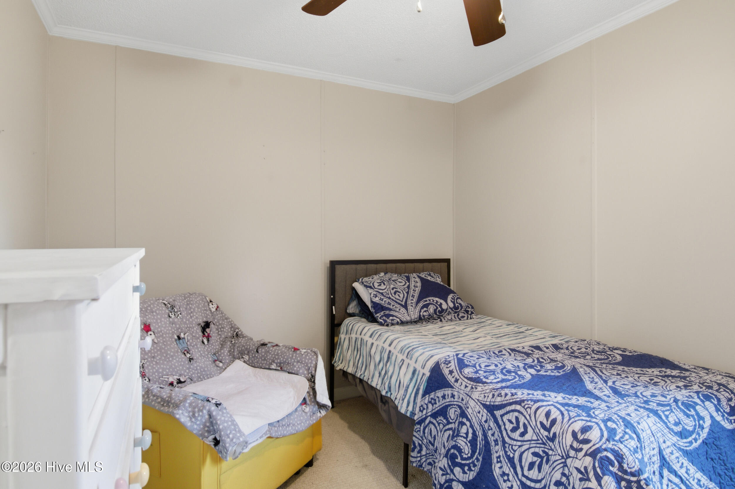 100547212 | Photo 24