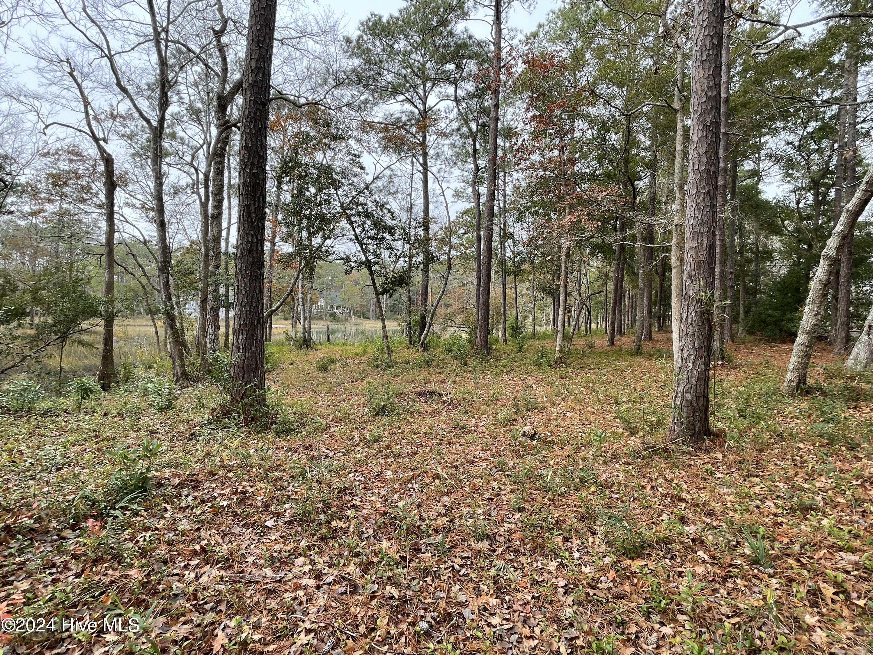 100481360 | Photo 19