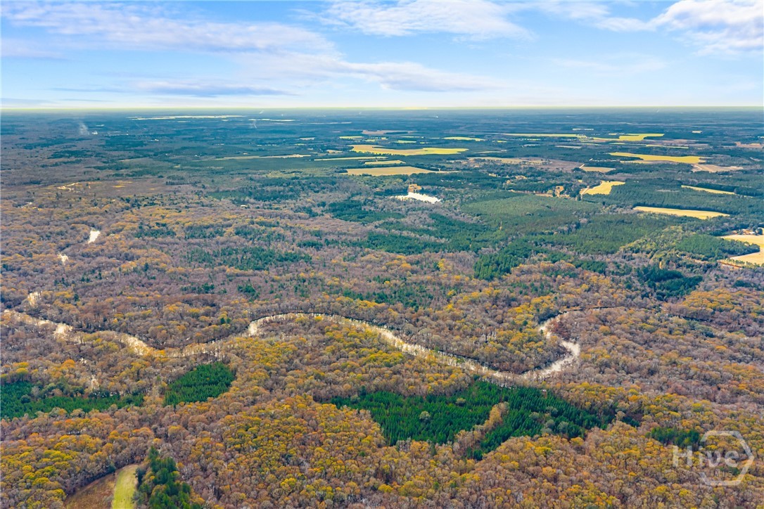 1000 Old River Road S, Brooklet, GA, 30415