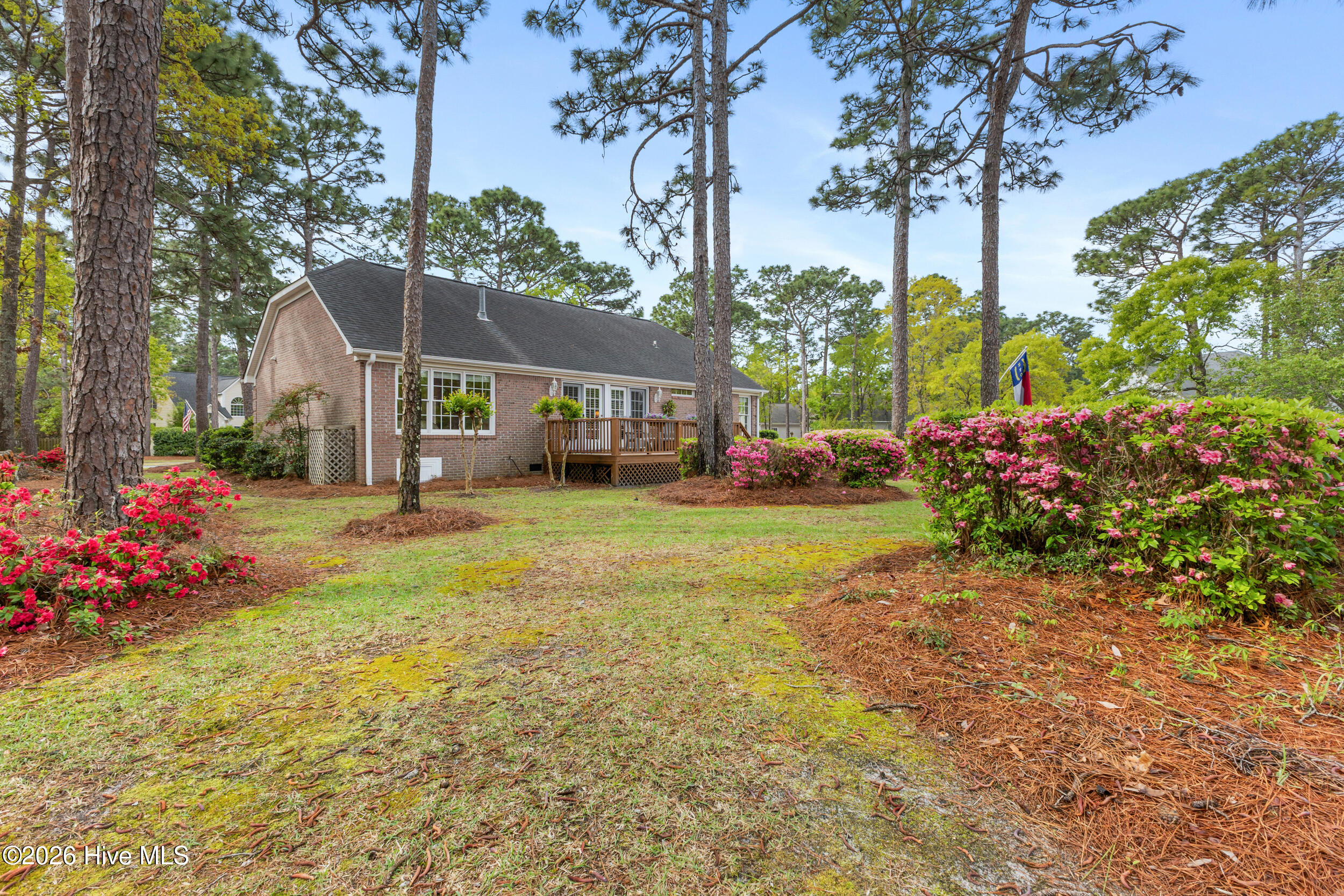 100566645 | Photo 32