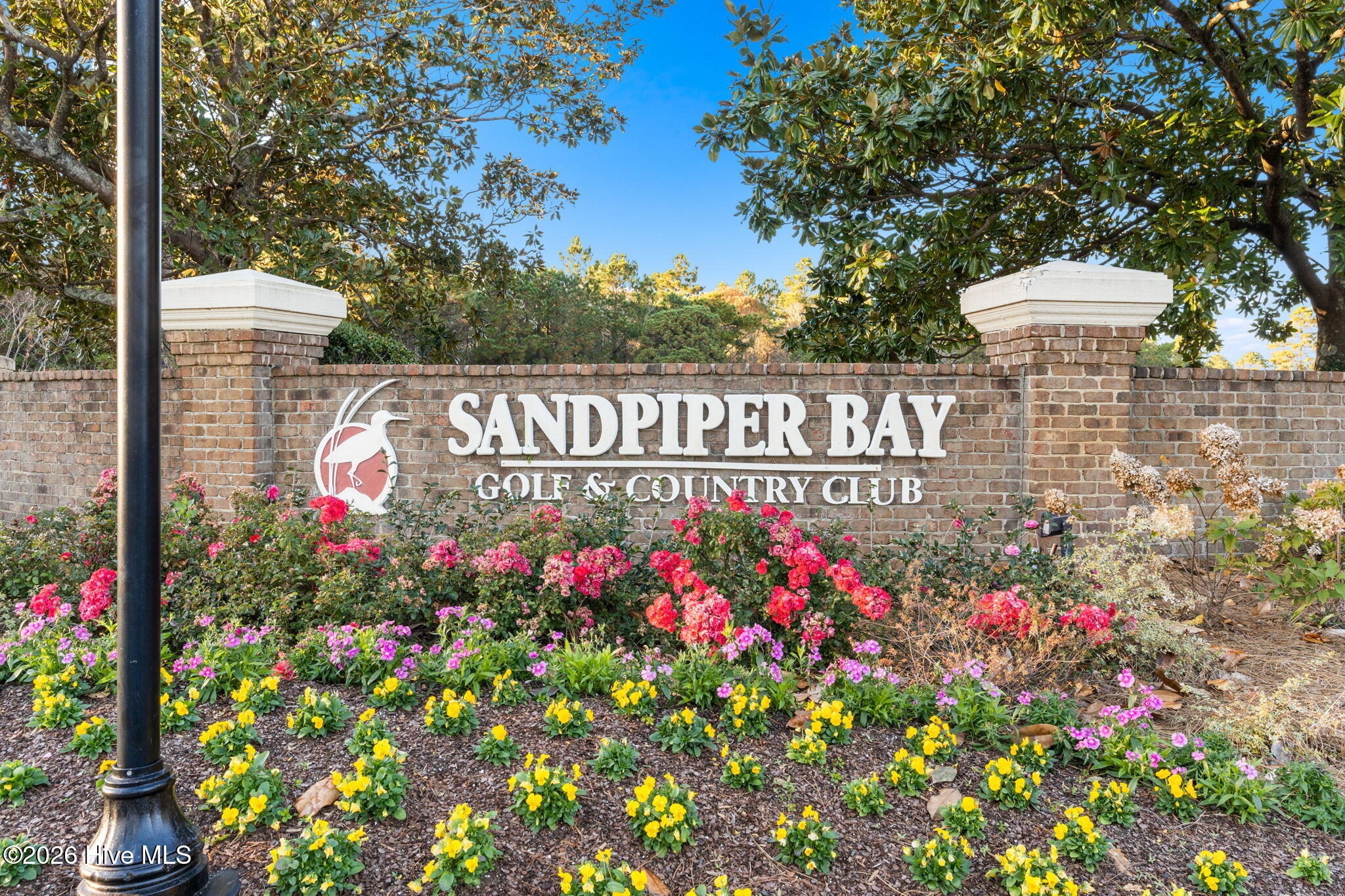 100558650 | Photo 47