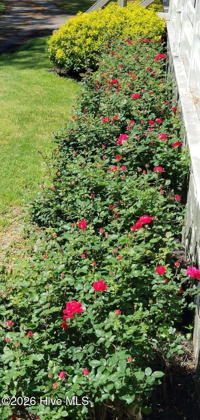 100564299 | Photo 14