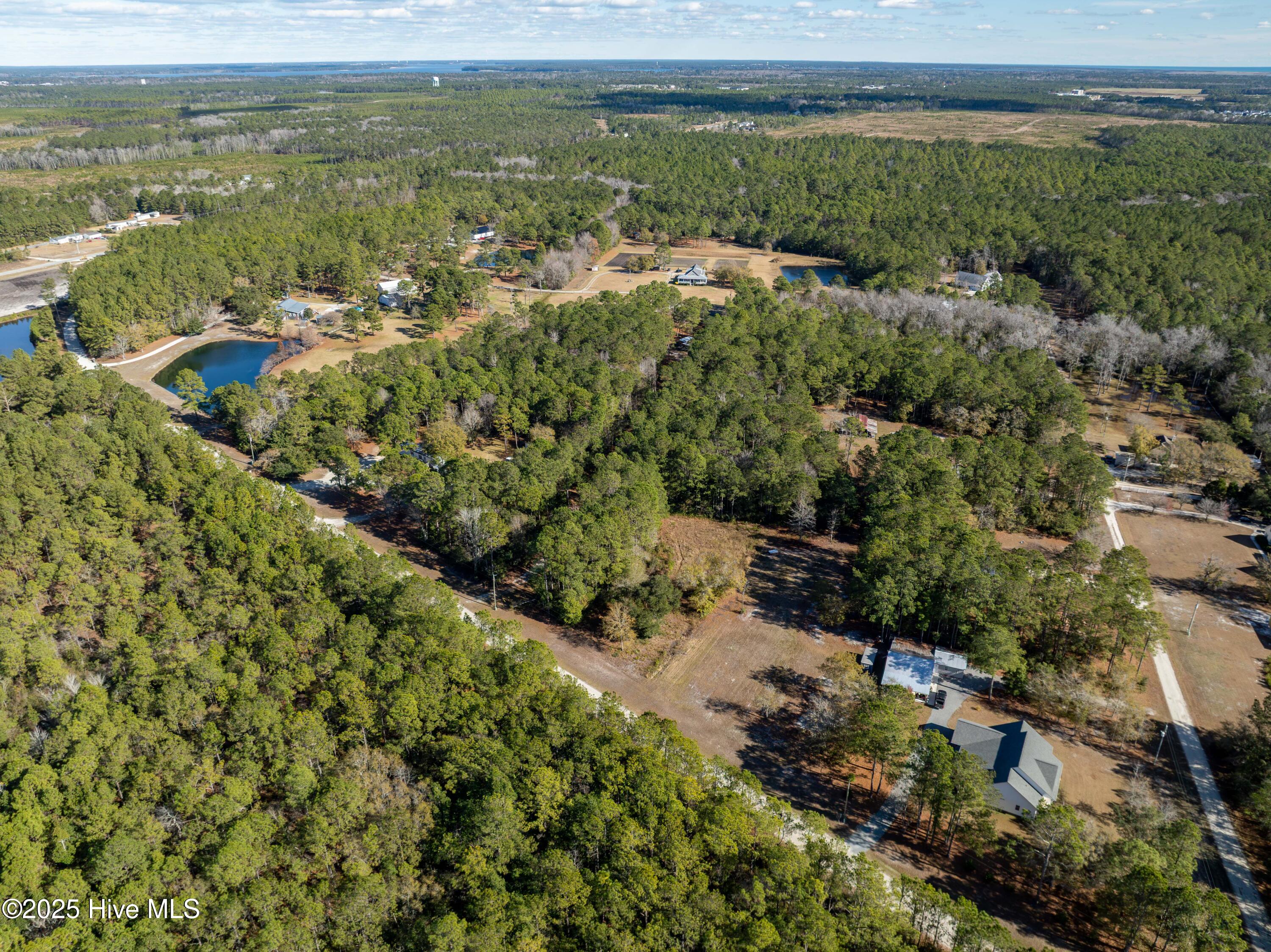 100545441 | Photo 16