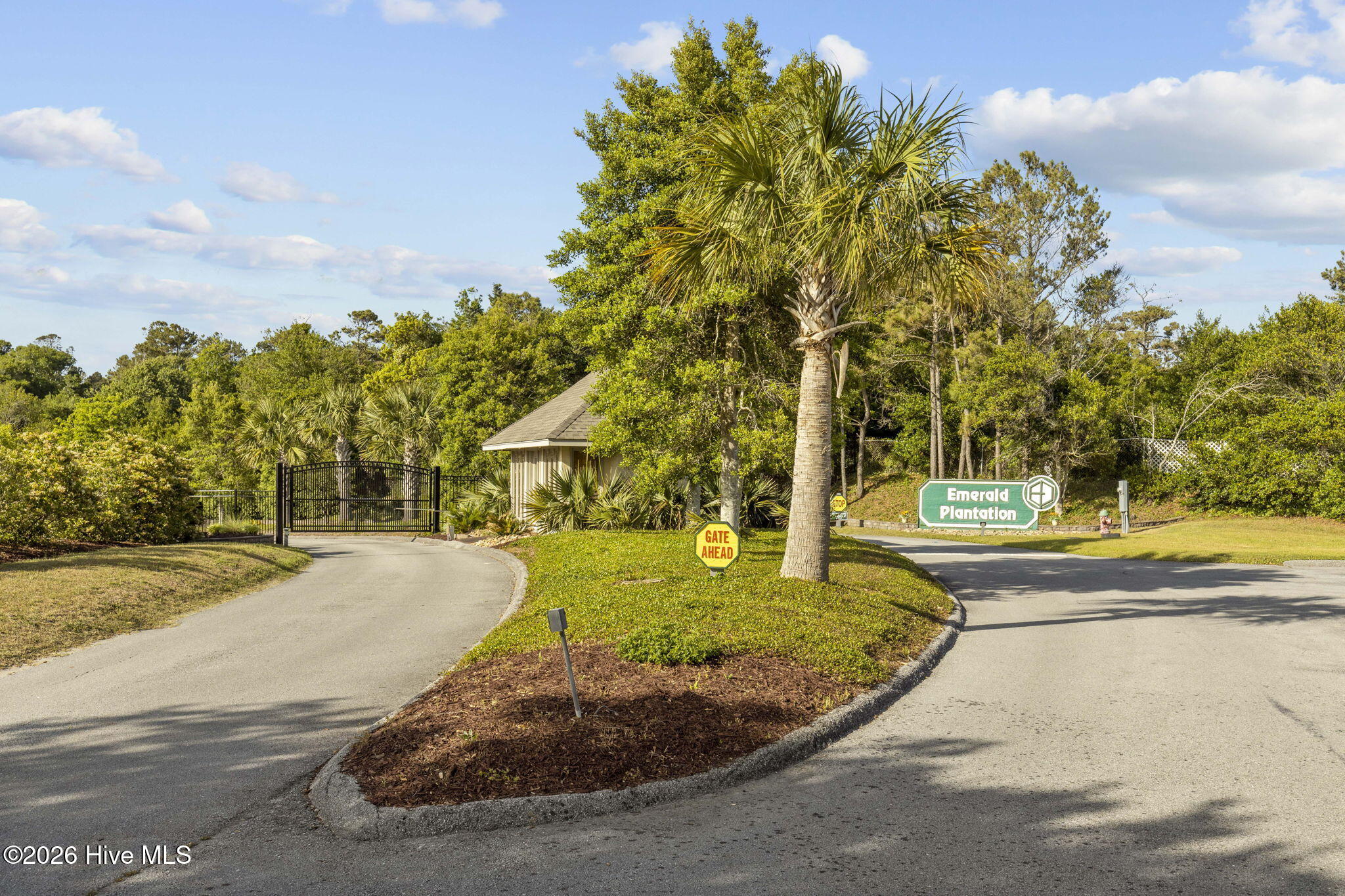 100554527 | Photo 68