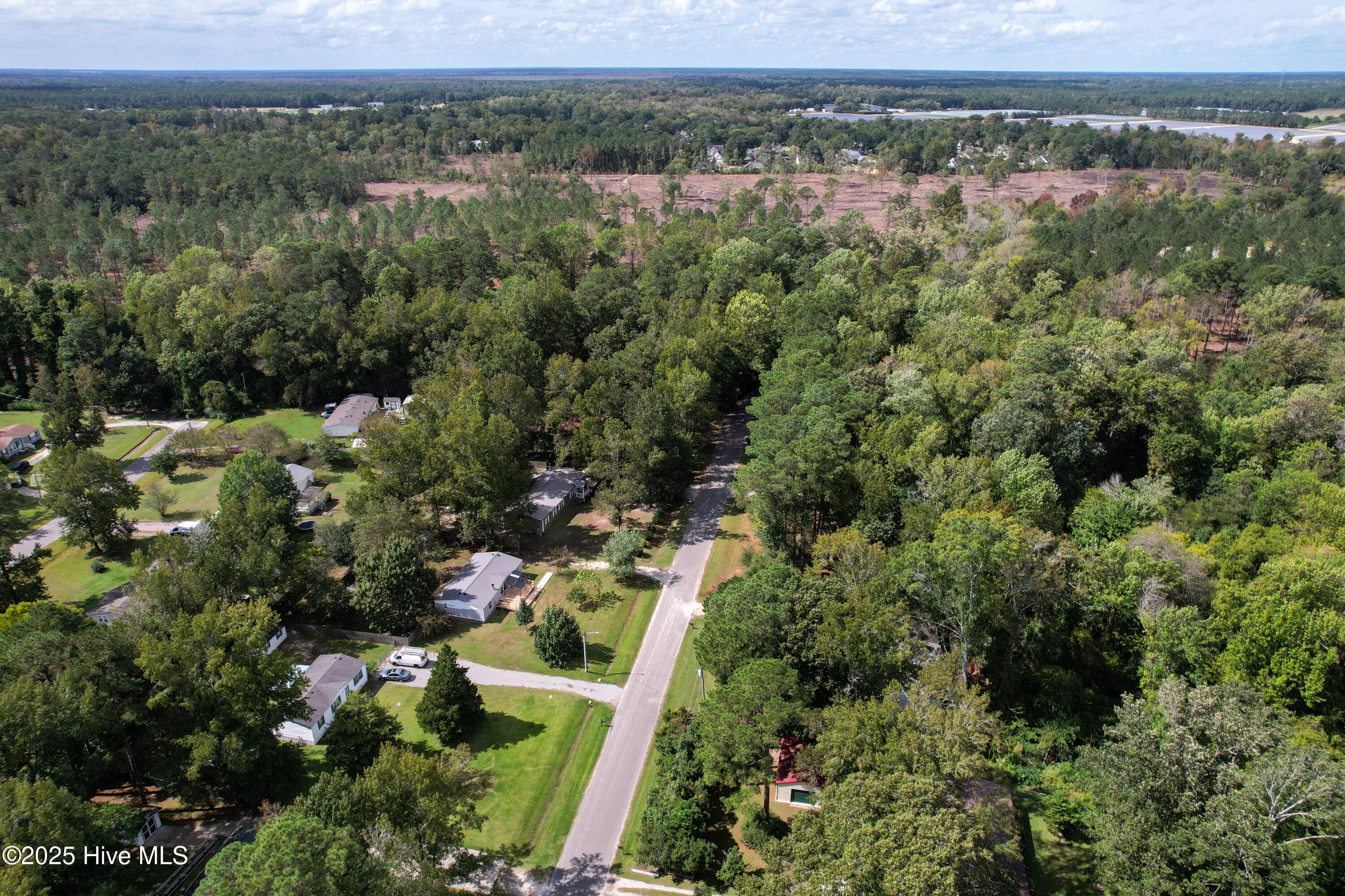 100535124 | Photo 17