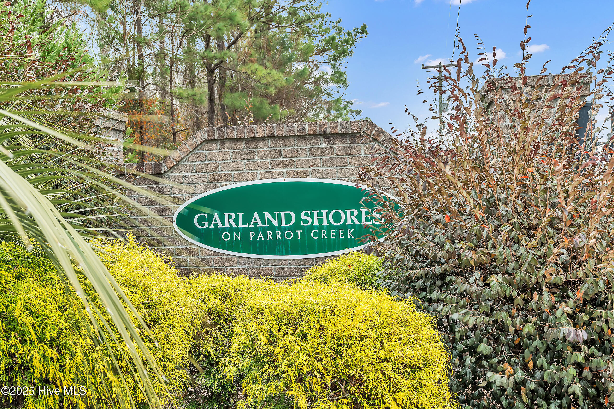 100546927 | Photo 55