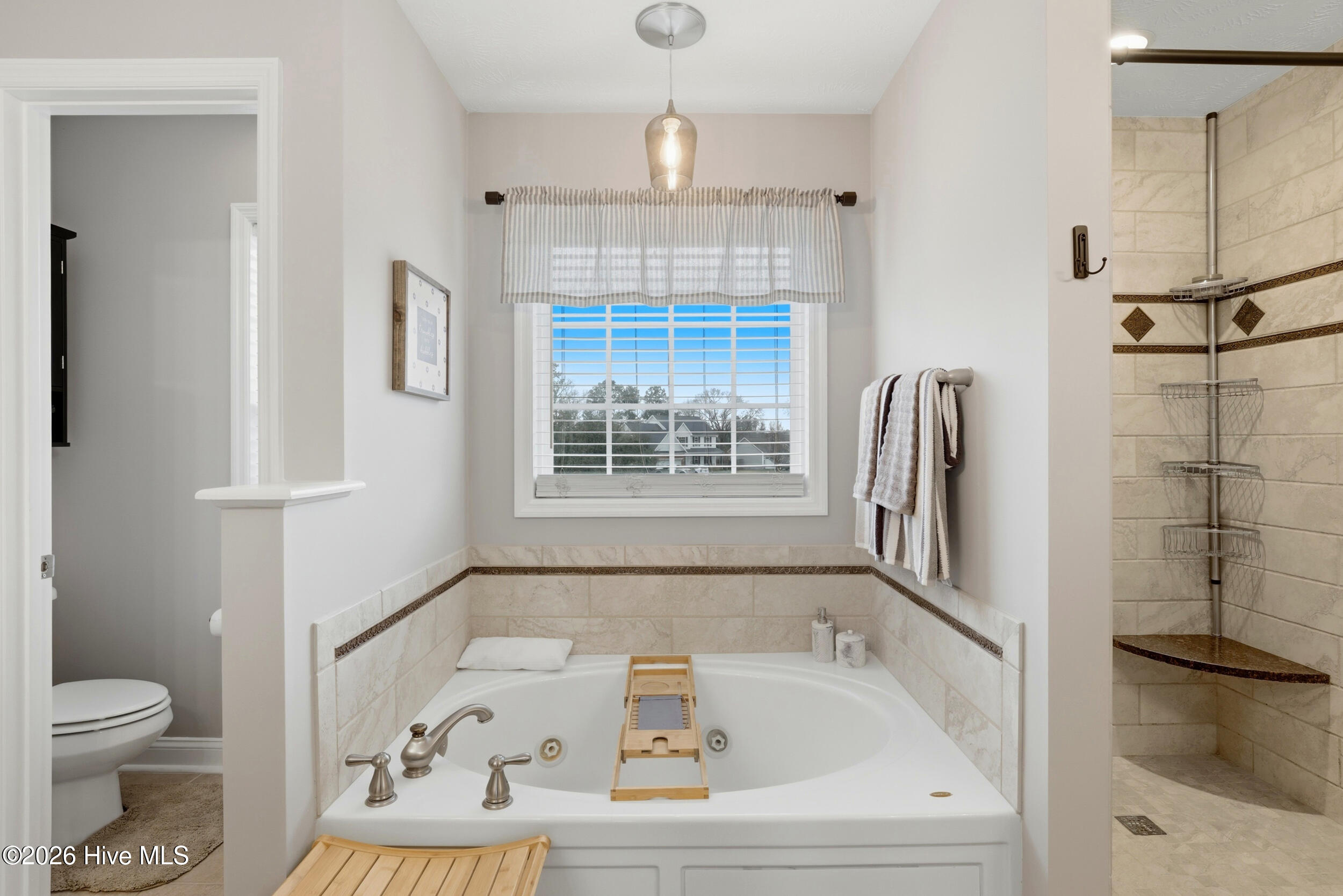 100558119 | Photo 22