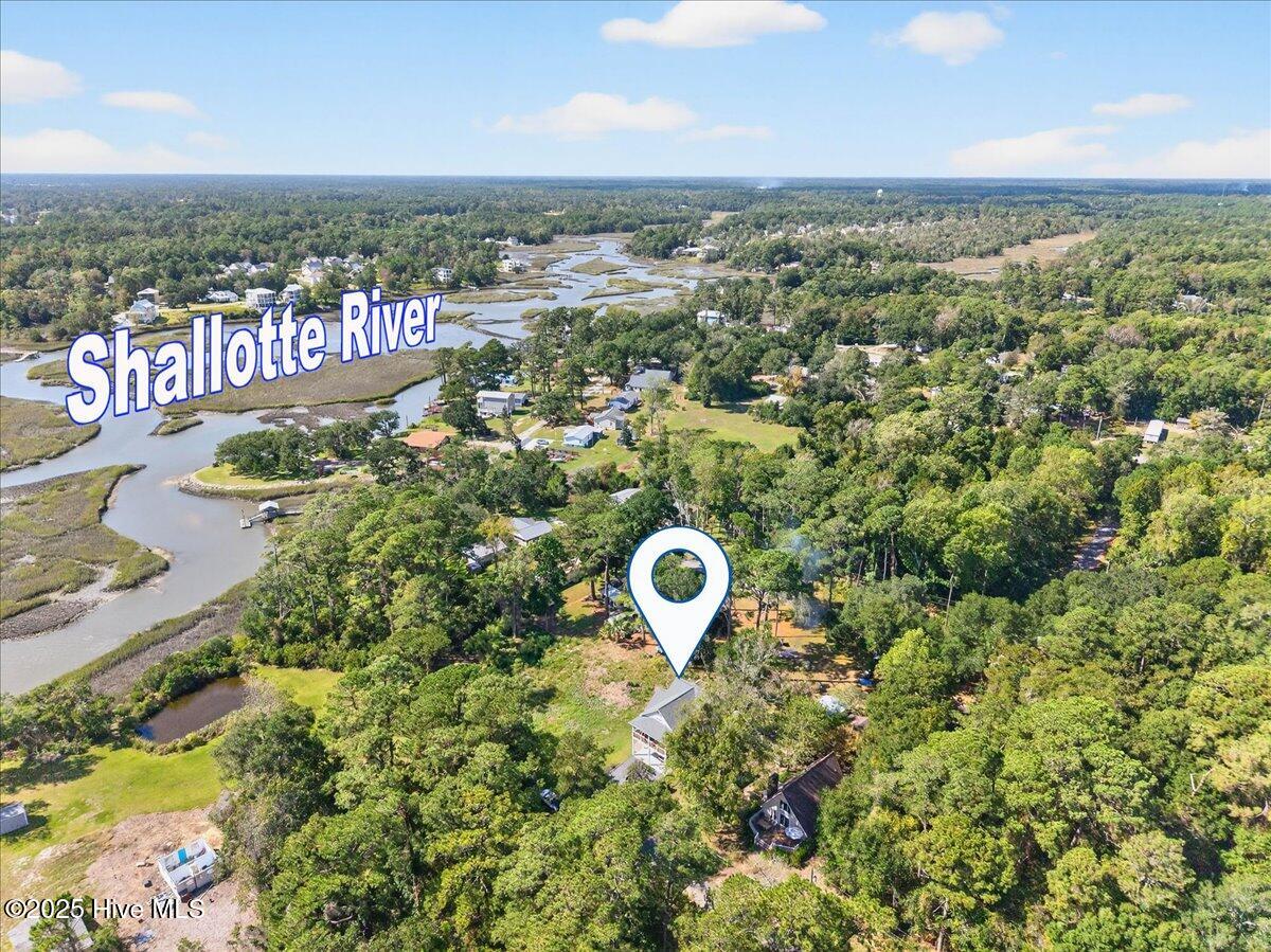 100536911 | Photo 46