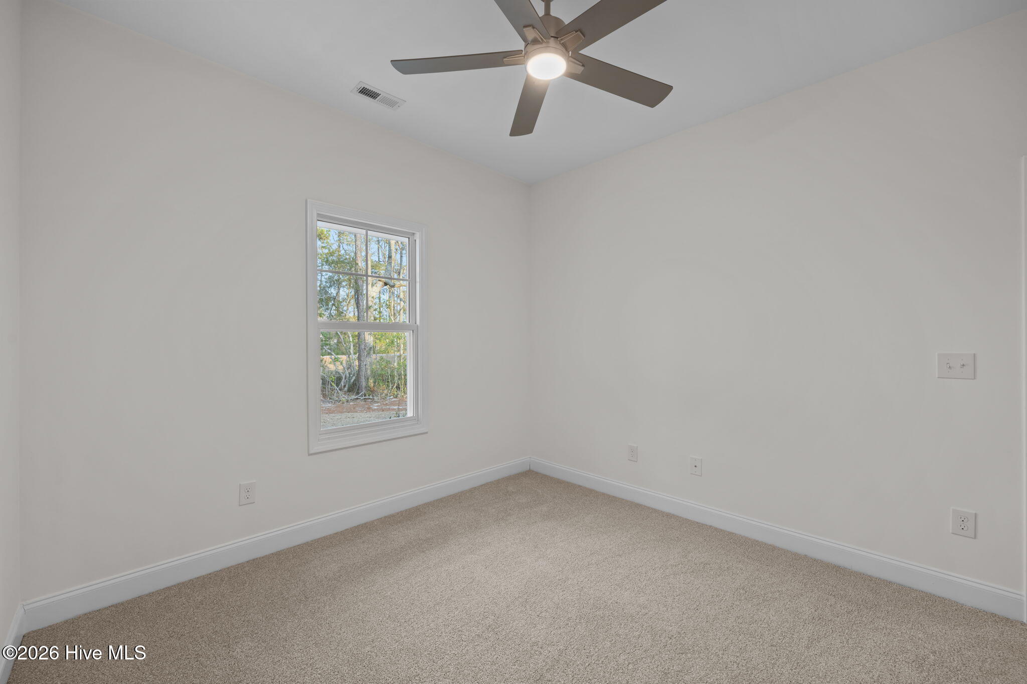 100528605 | Photo 33