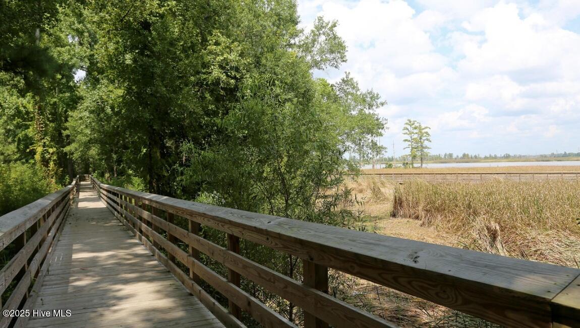 100548507 | Photo 40