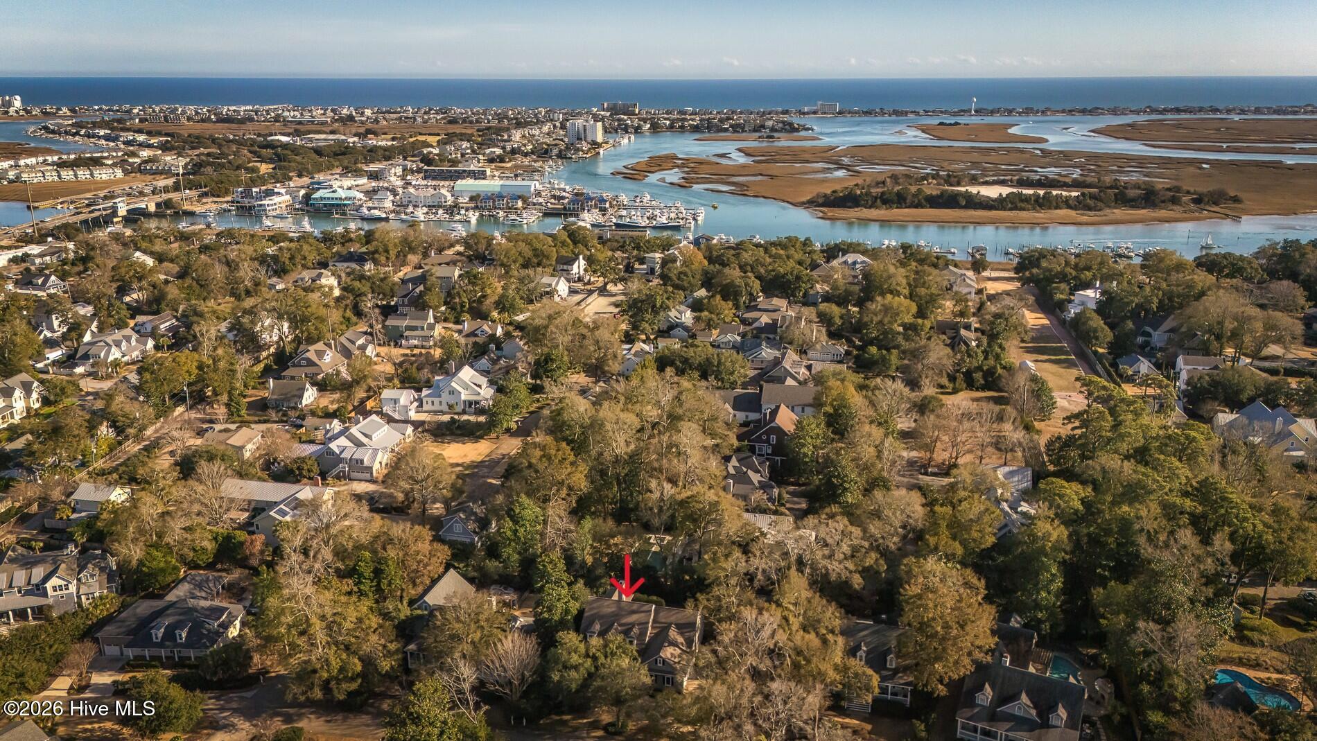 100550296 | Photo 66