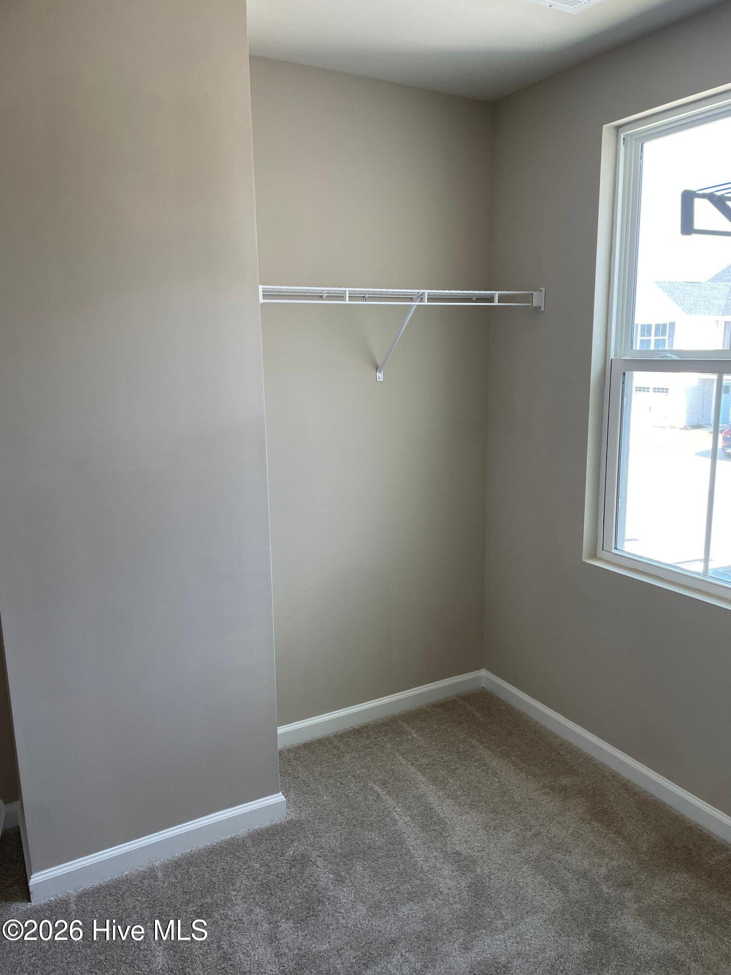 100559123 | Photo 13