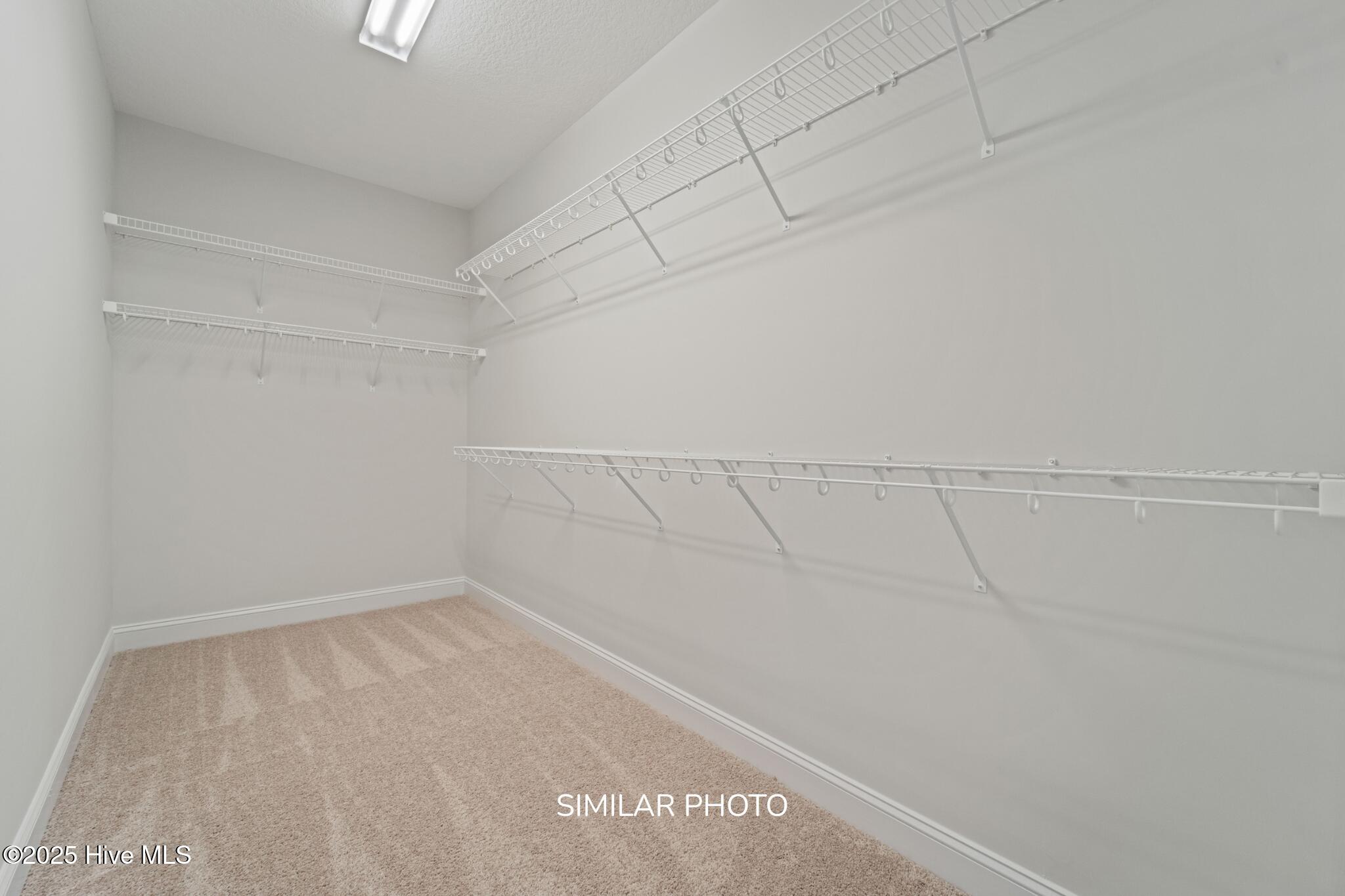 100536292 | Photo 17