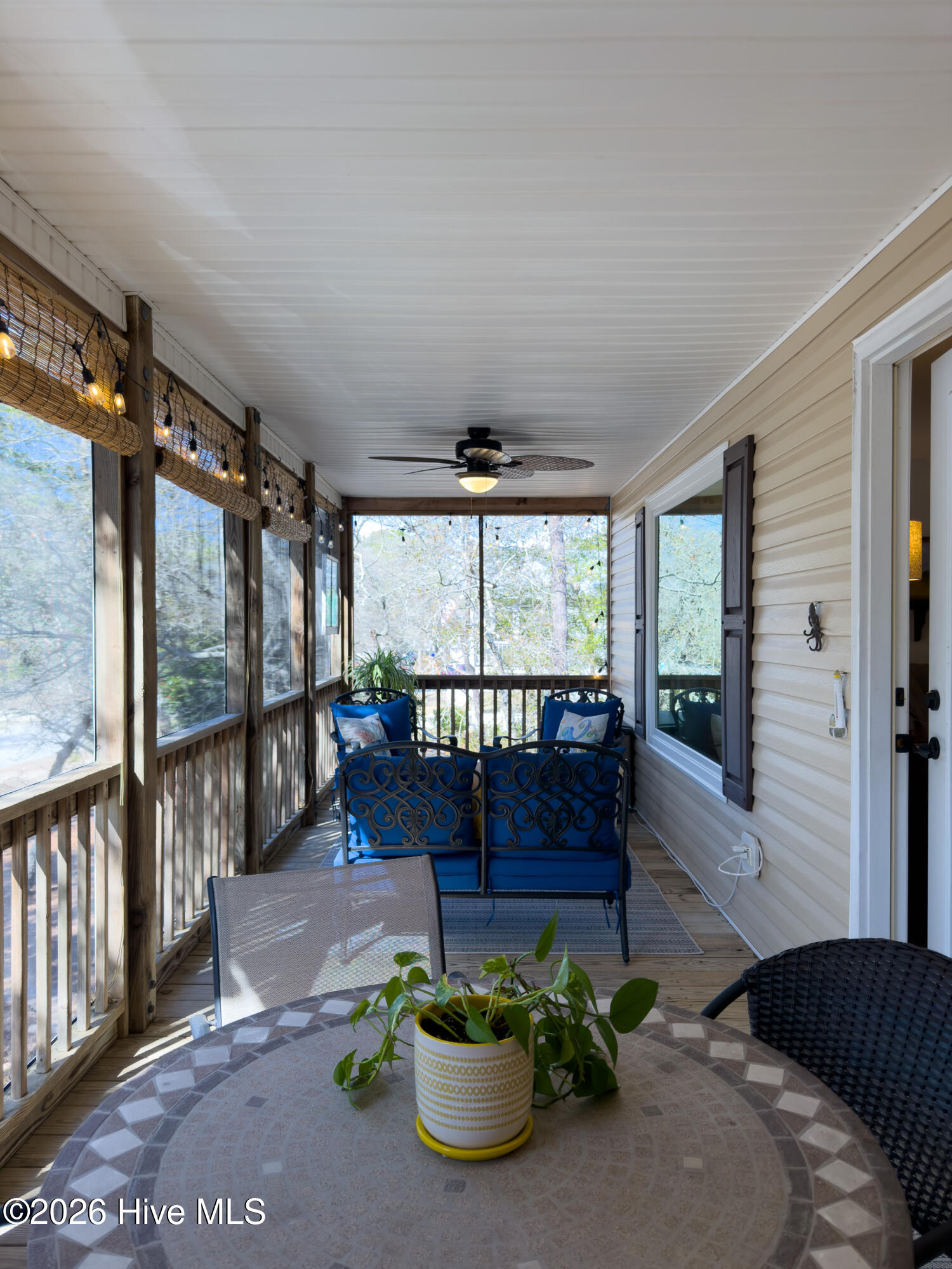 100559044 | Photo 25