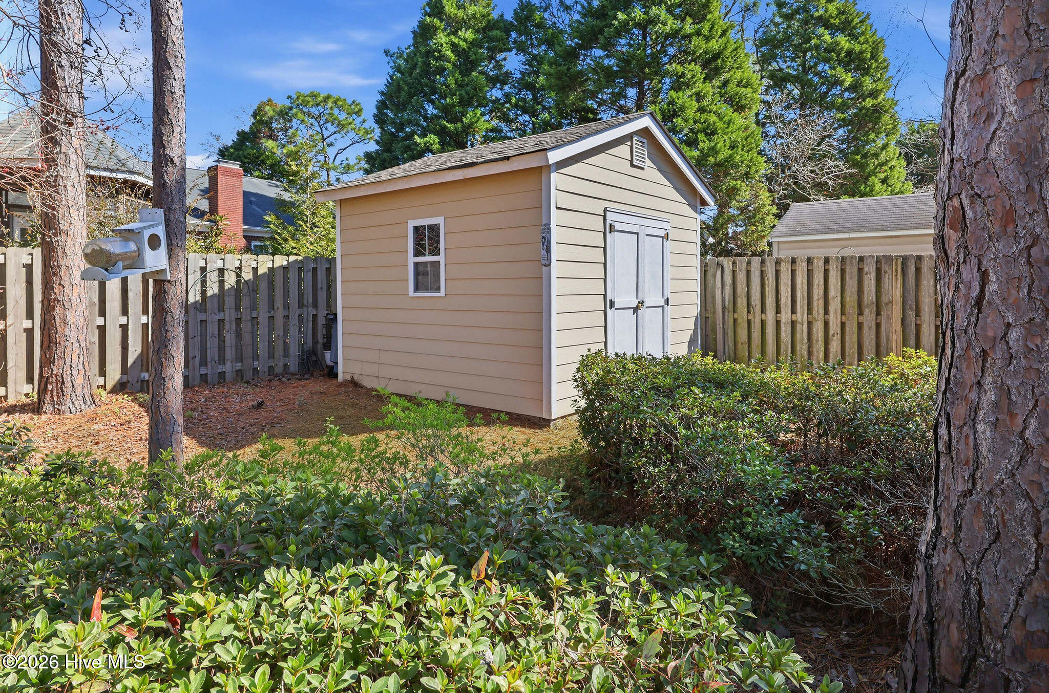 100556784 | Photo 20