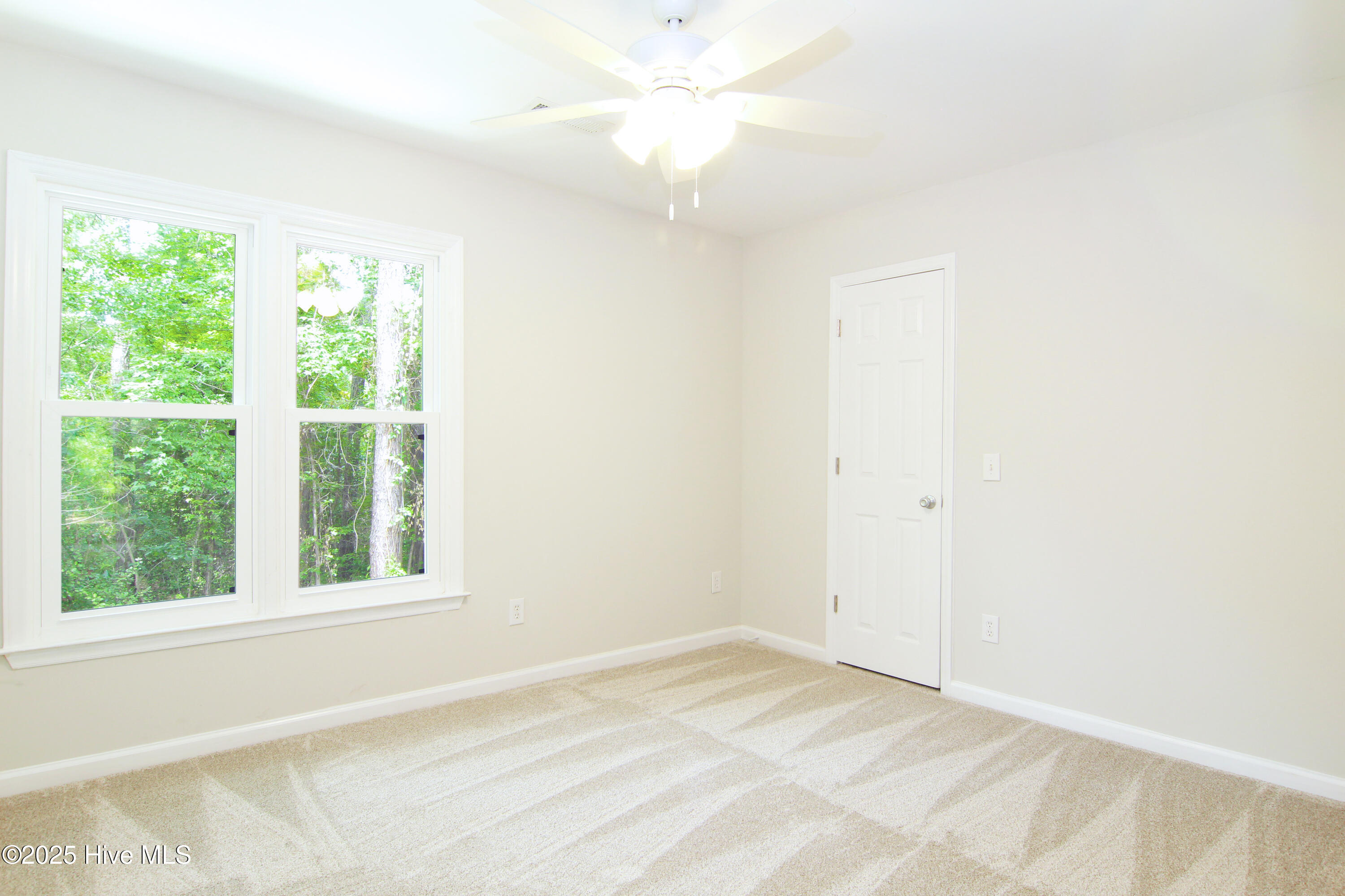 100517489 | Photo 29