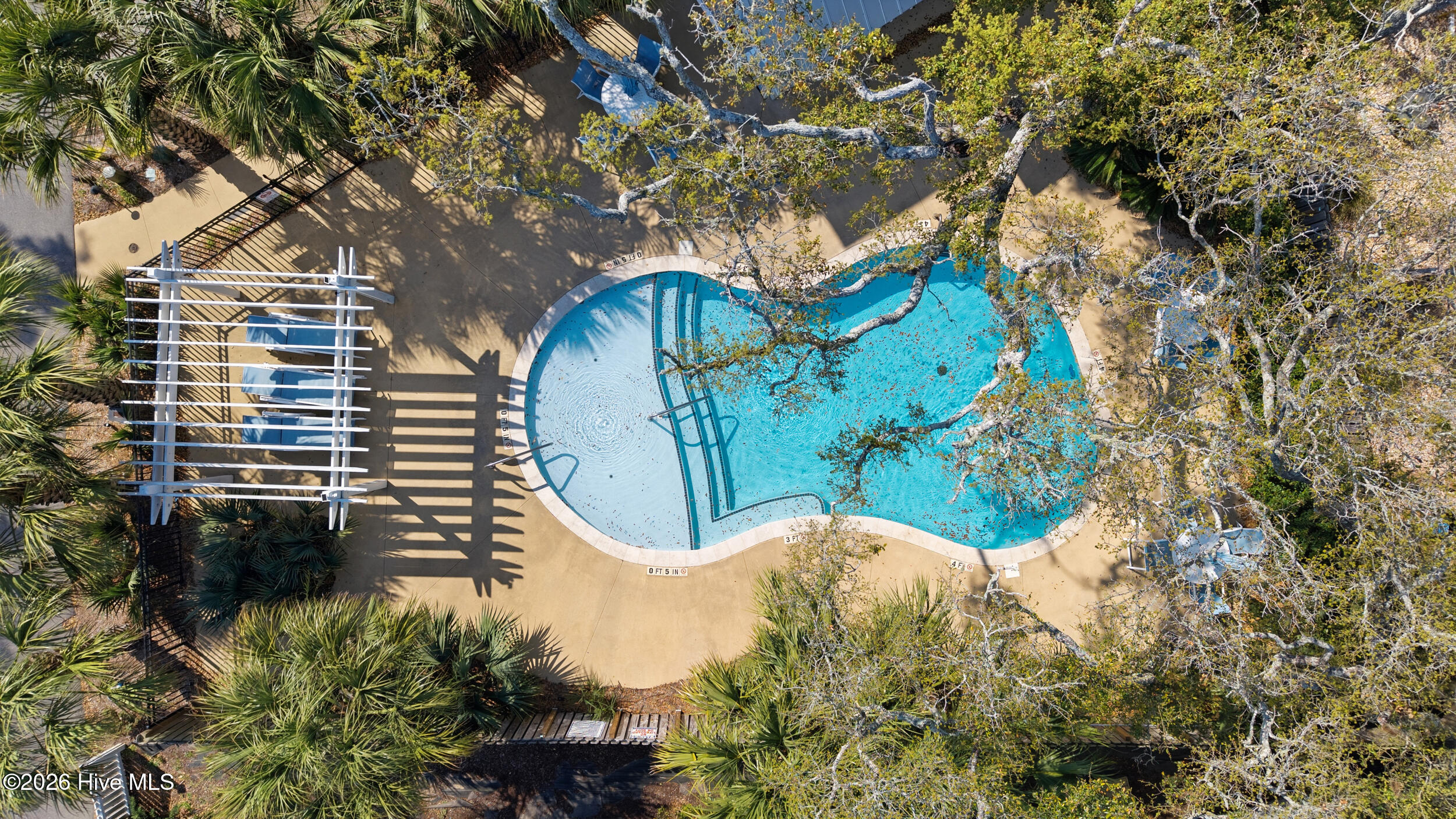 100563355 | Photo 43