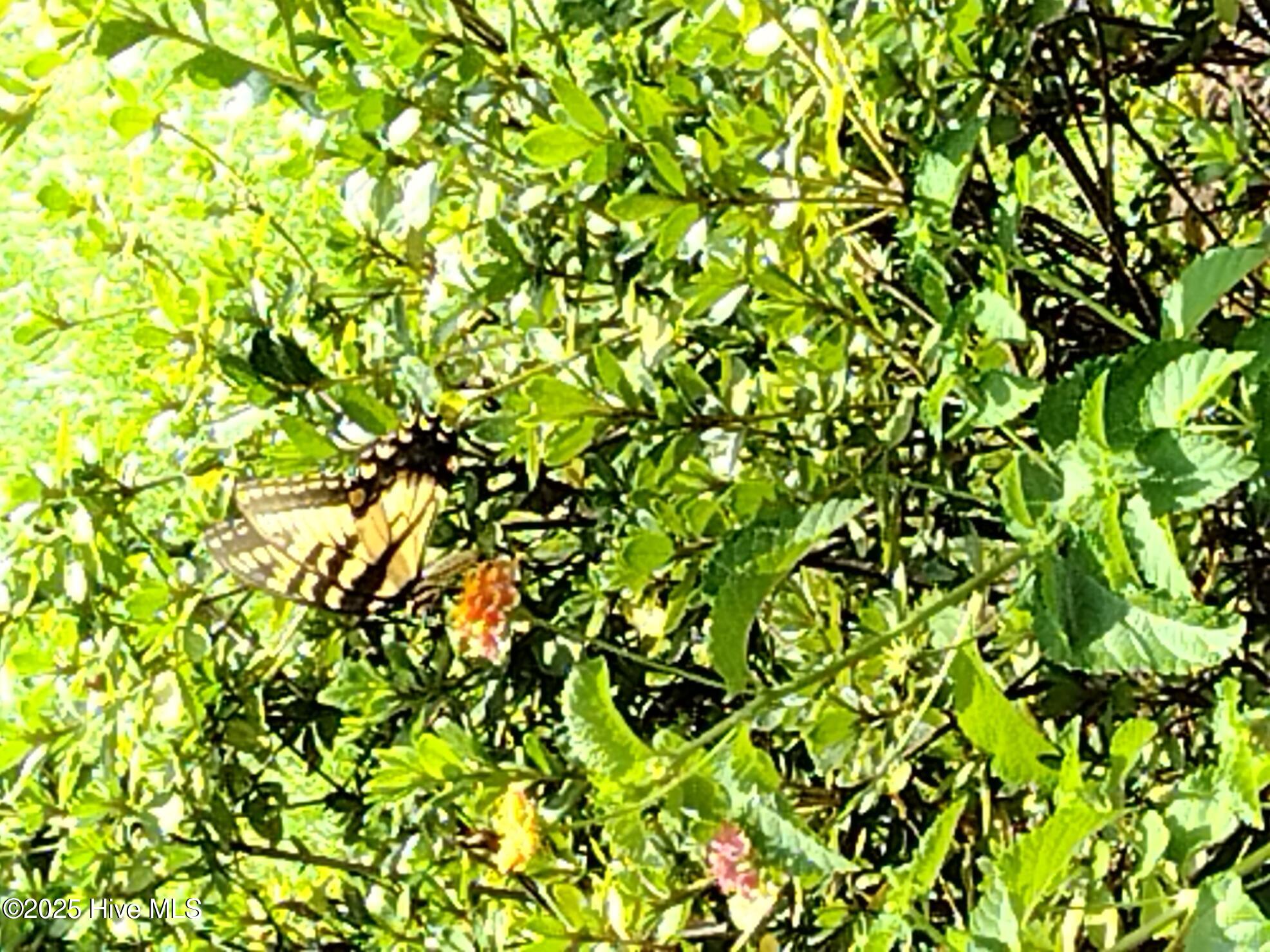 IMG_20230801_130857721_BURST016