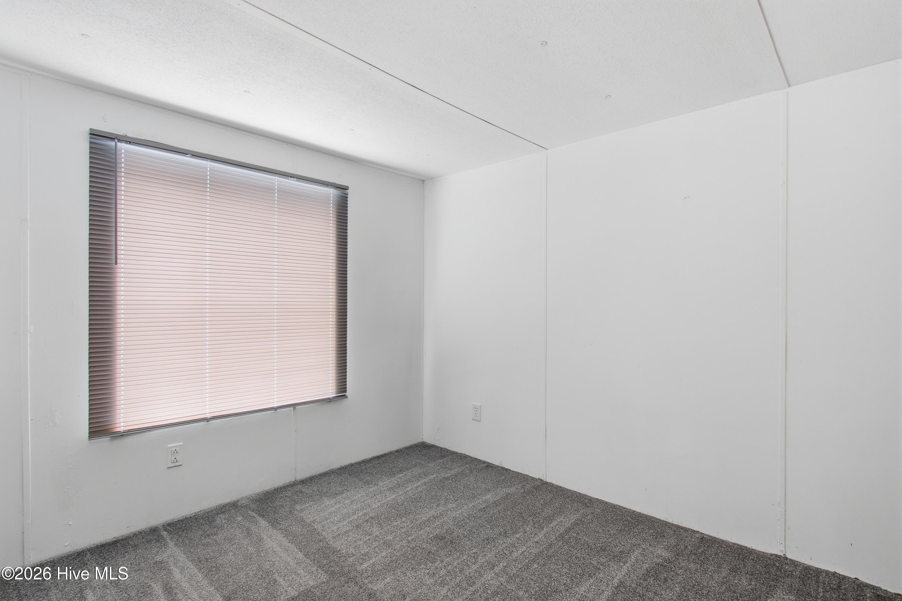 100553842 | Photo 23