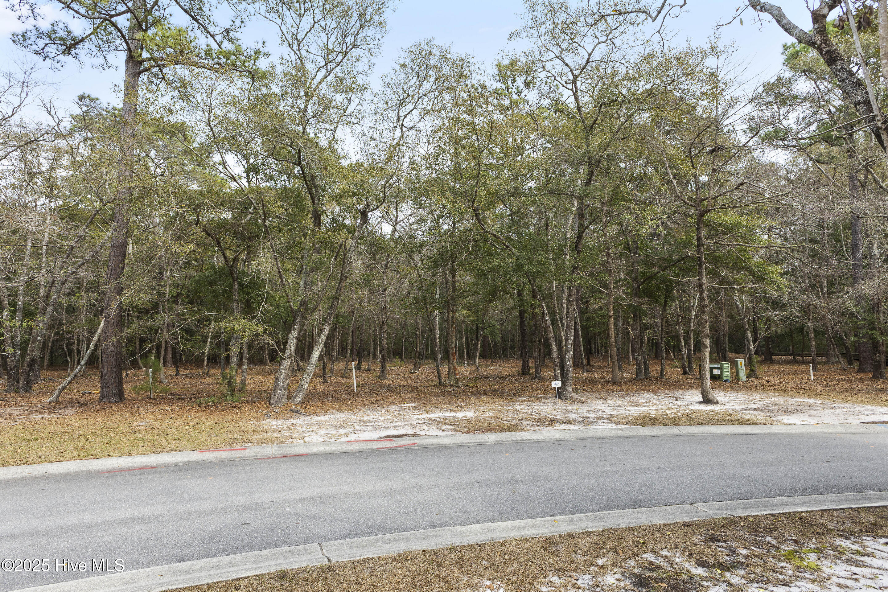 100495133 | Photo 16