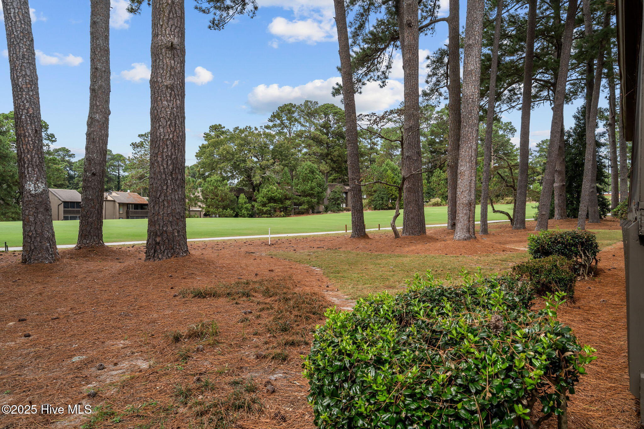 Homes for sale in Pinehurst, NC | 115 Beulah Hill Rd S # 112, Pinehurst, NC 28374 | MLS# 100535659