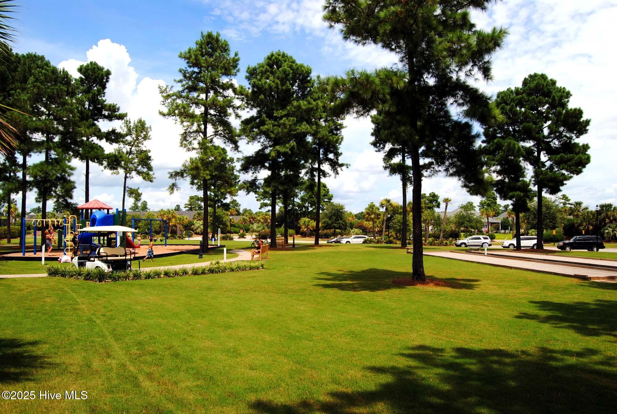 100547975 | Photo 57