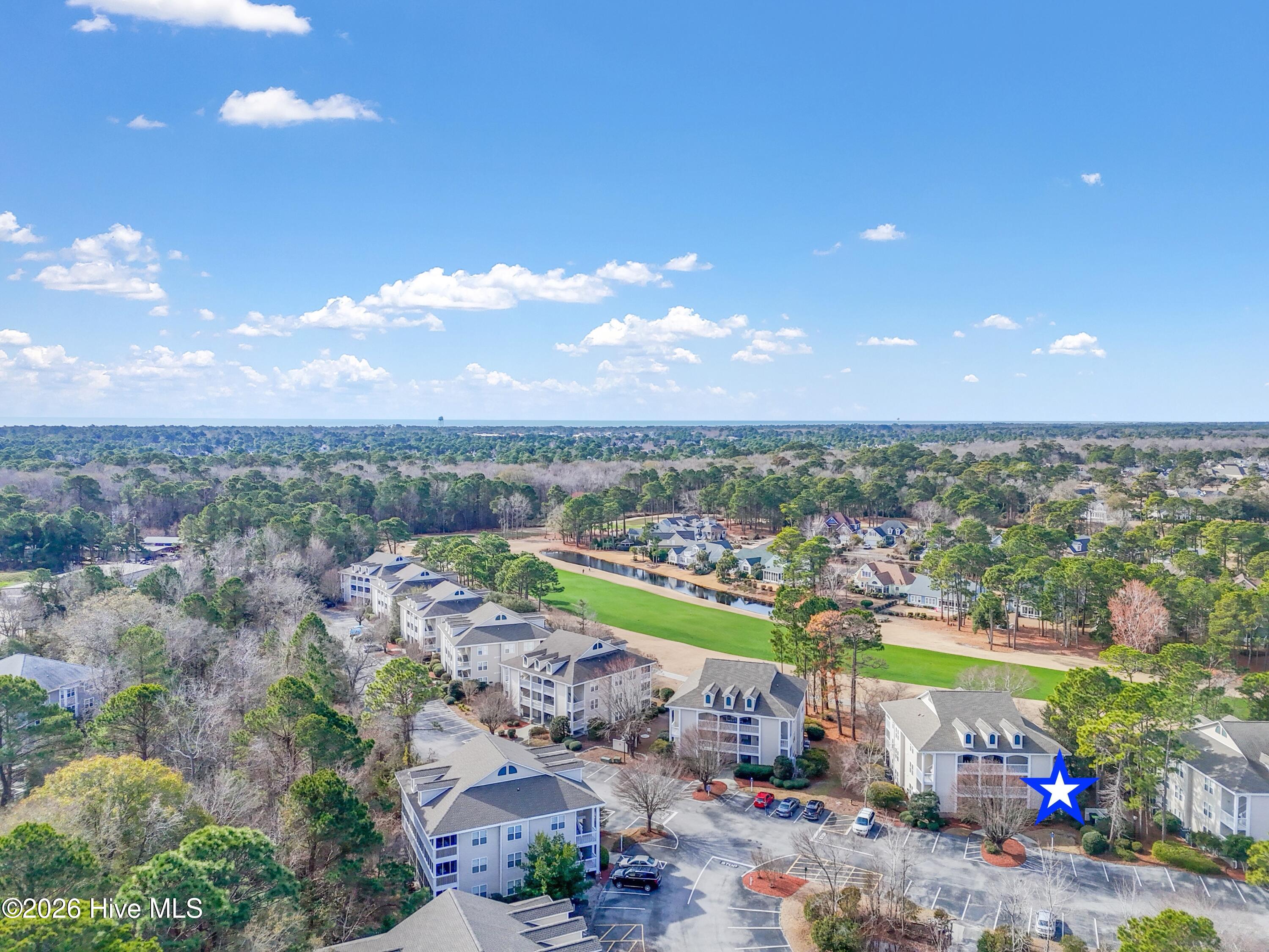 100558329 | Photo 41