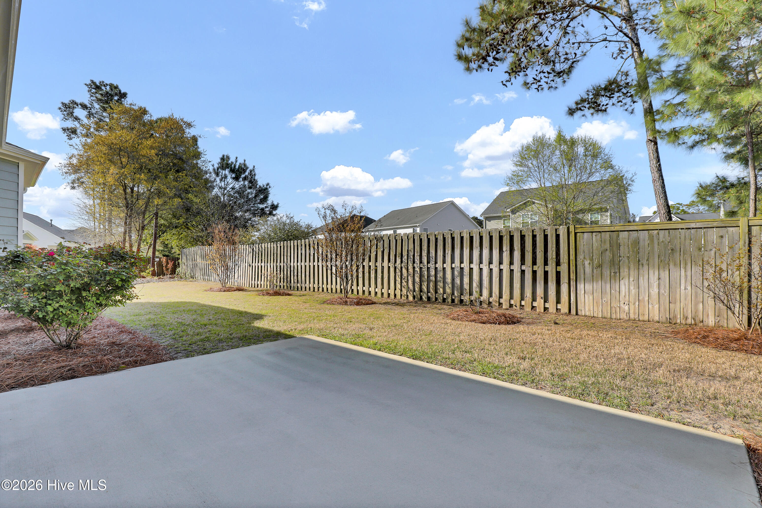 100564151 | Photo 27