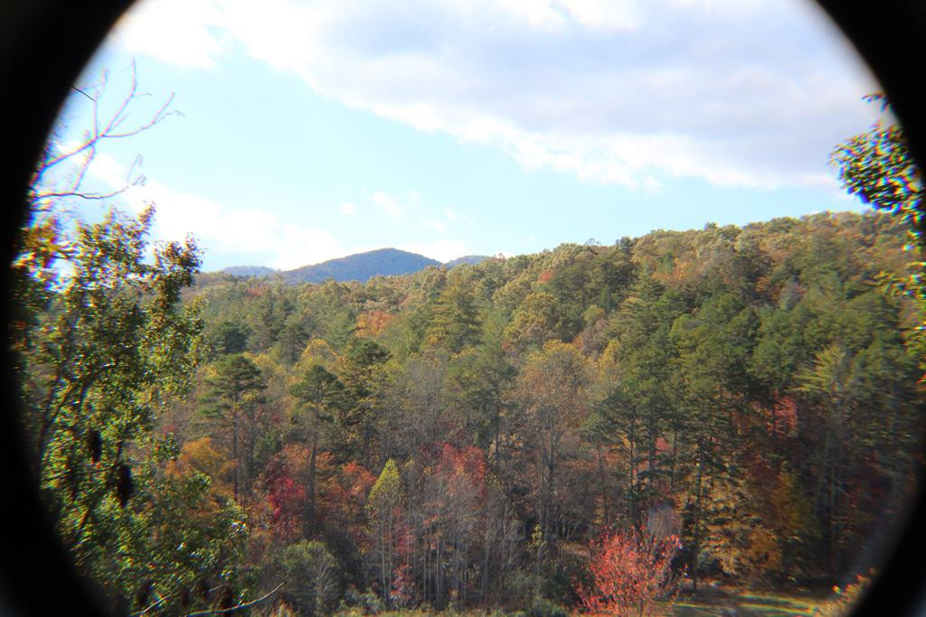 Listing Photo 98524272