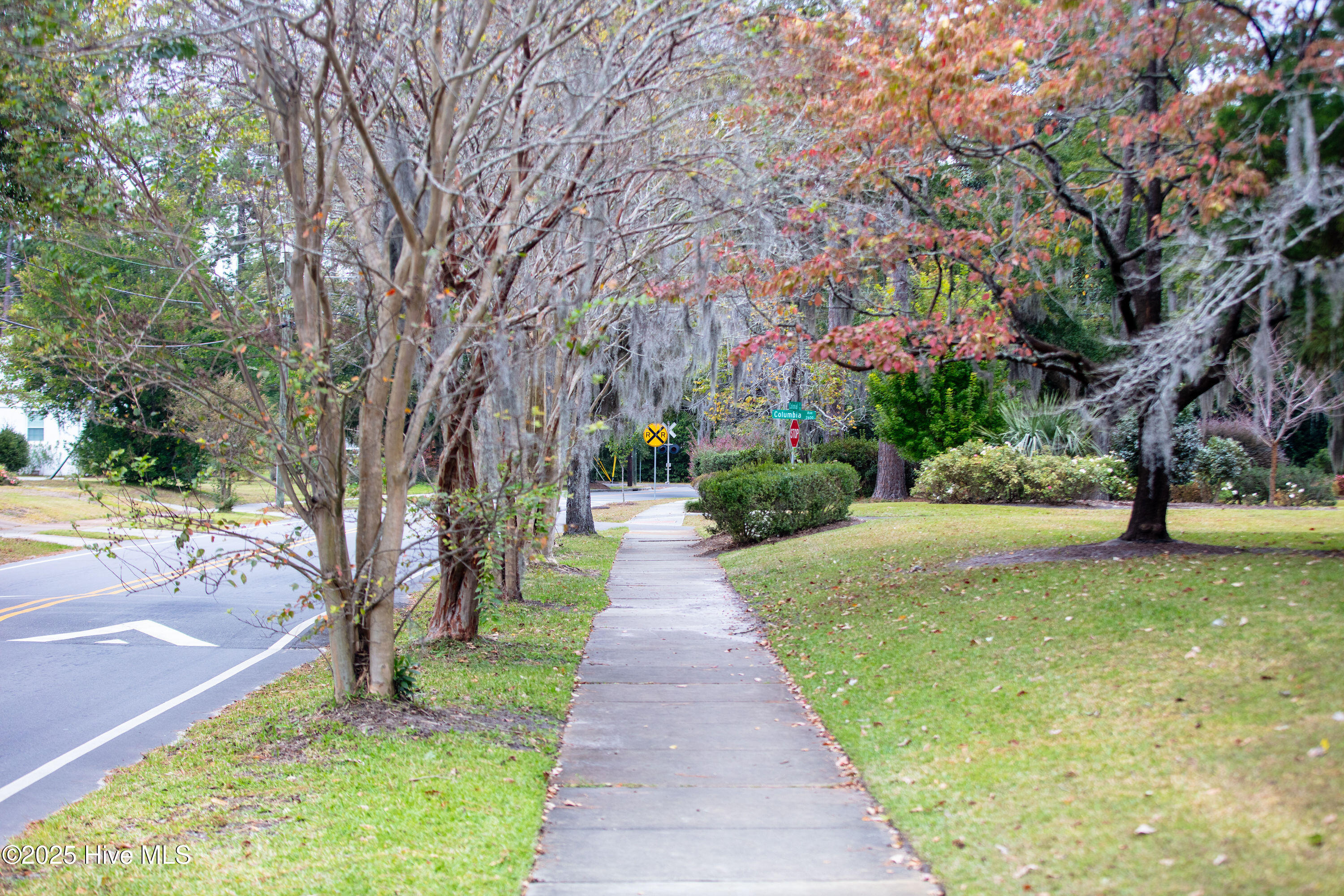 100541025 | Photo 61