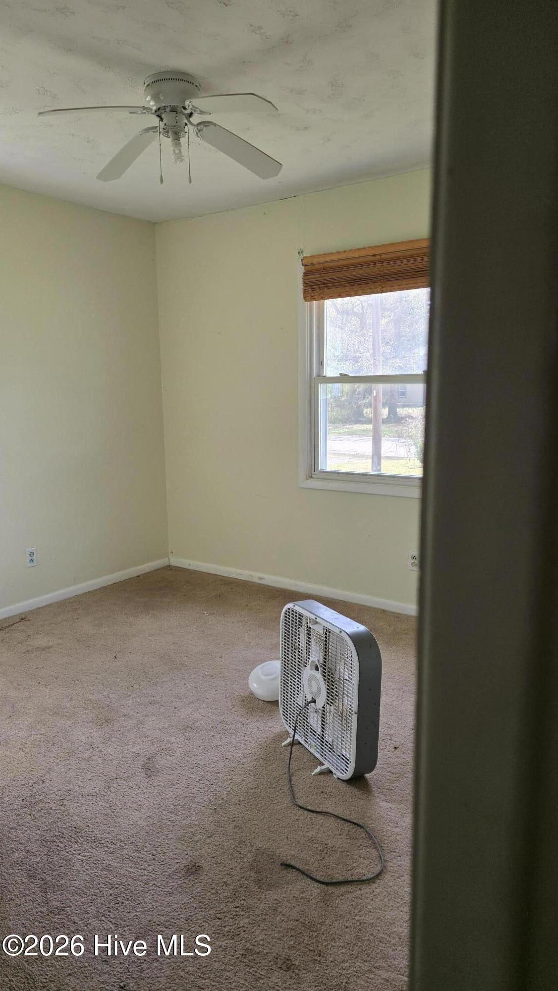 100561564 | Photo 33