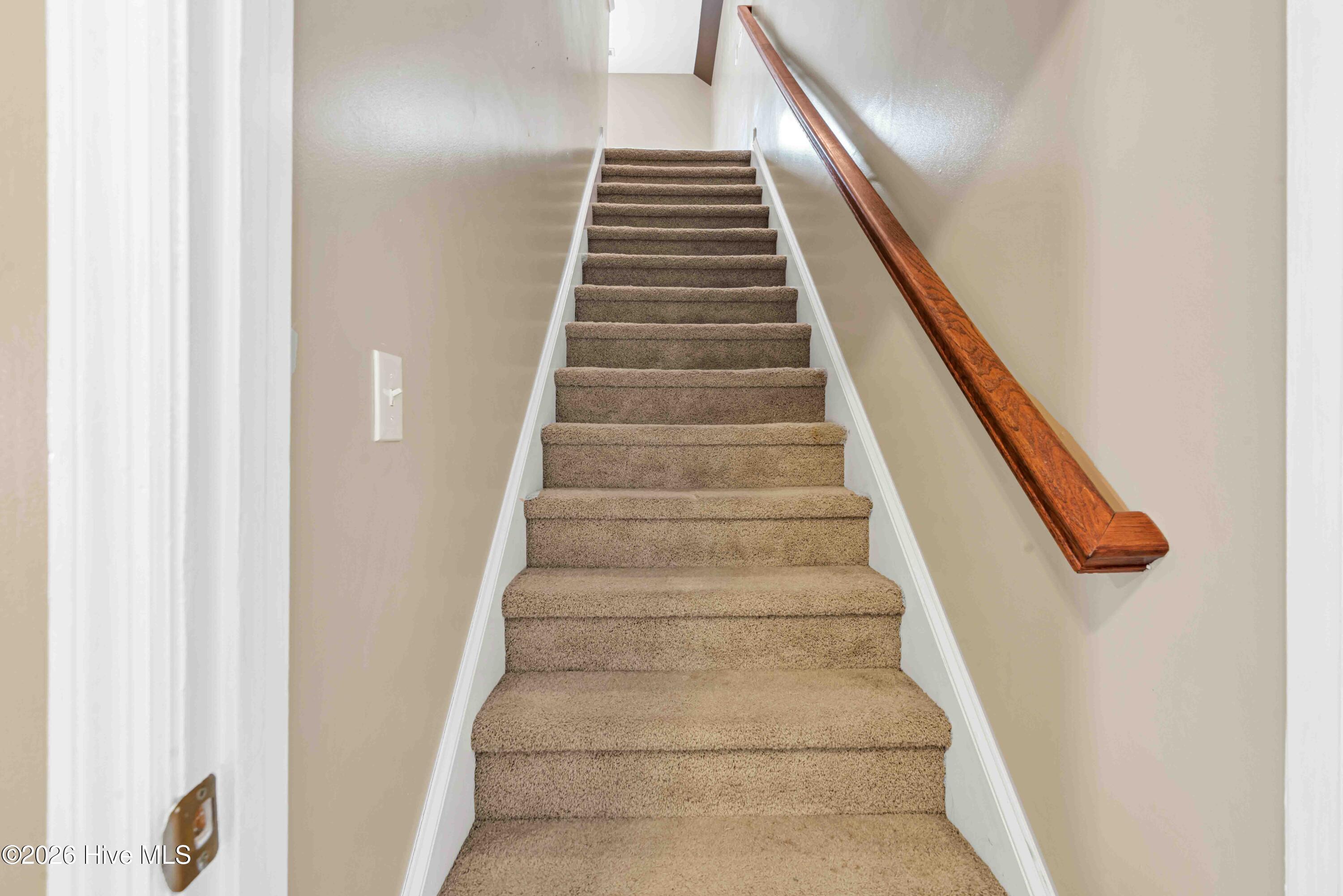 100557522 | Photo 37