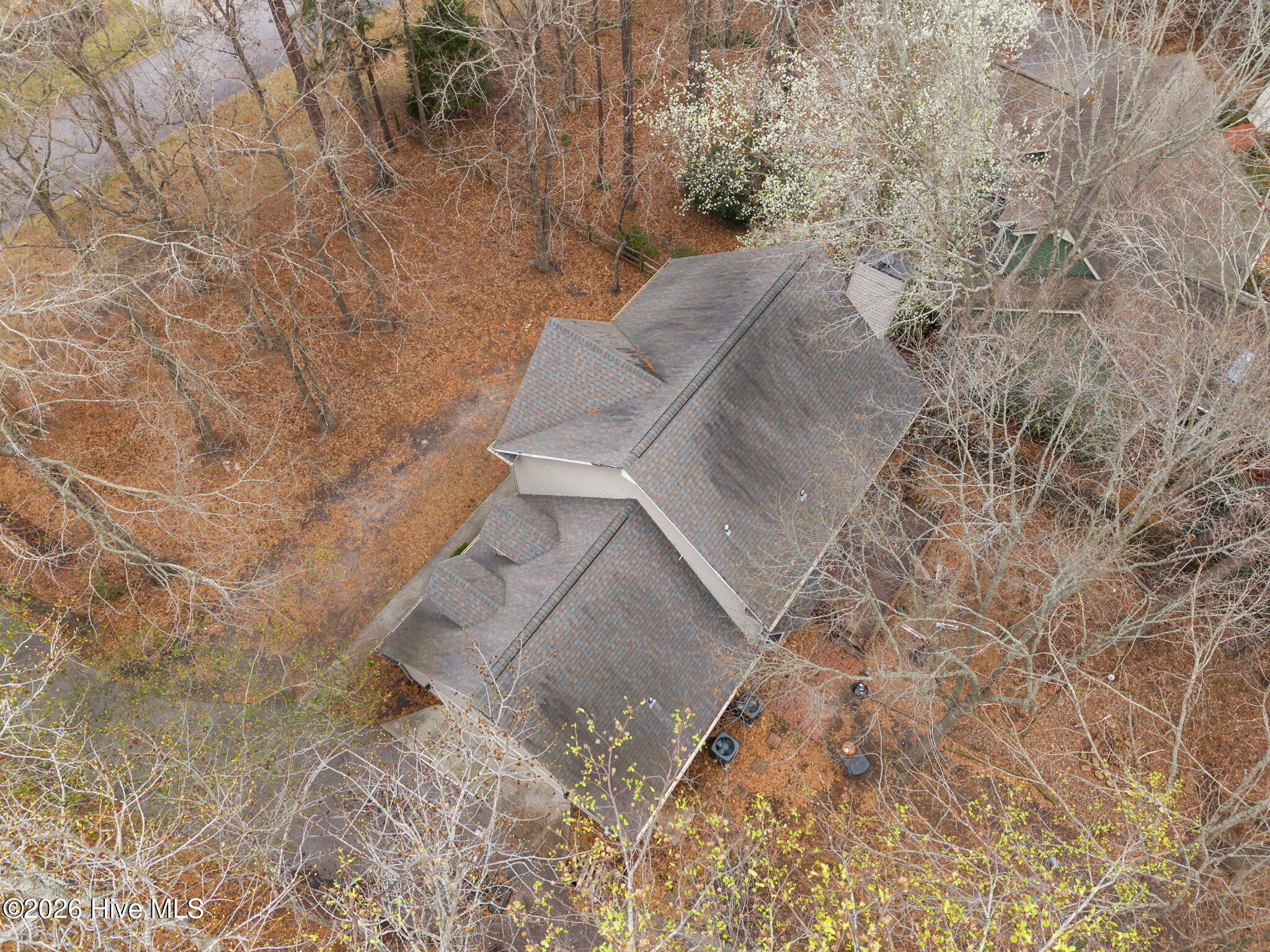 100557636 | Photo 35