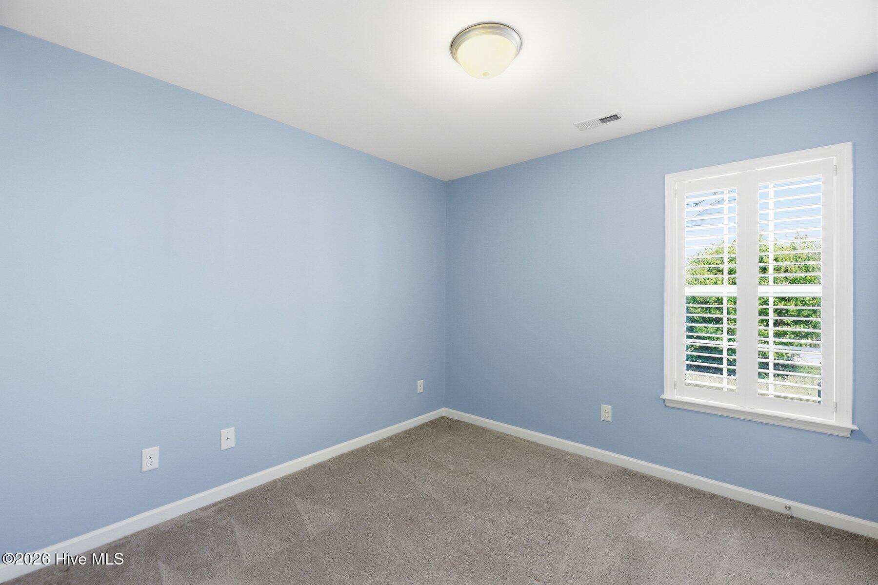 100563197 | Photo 15