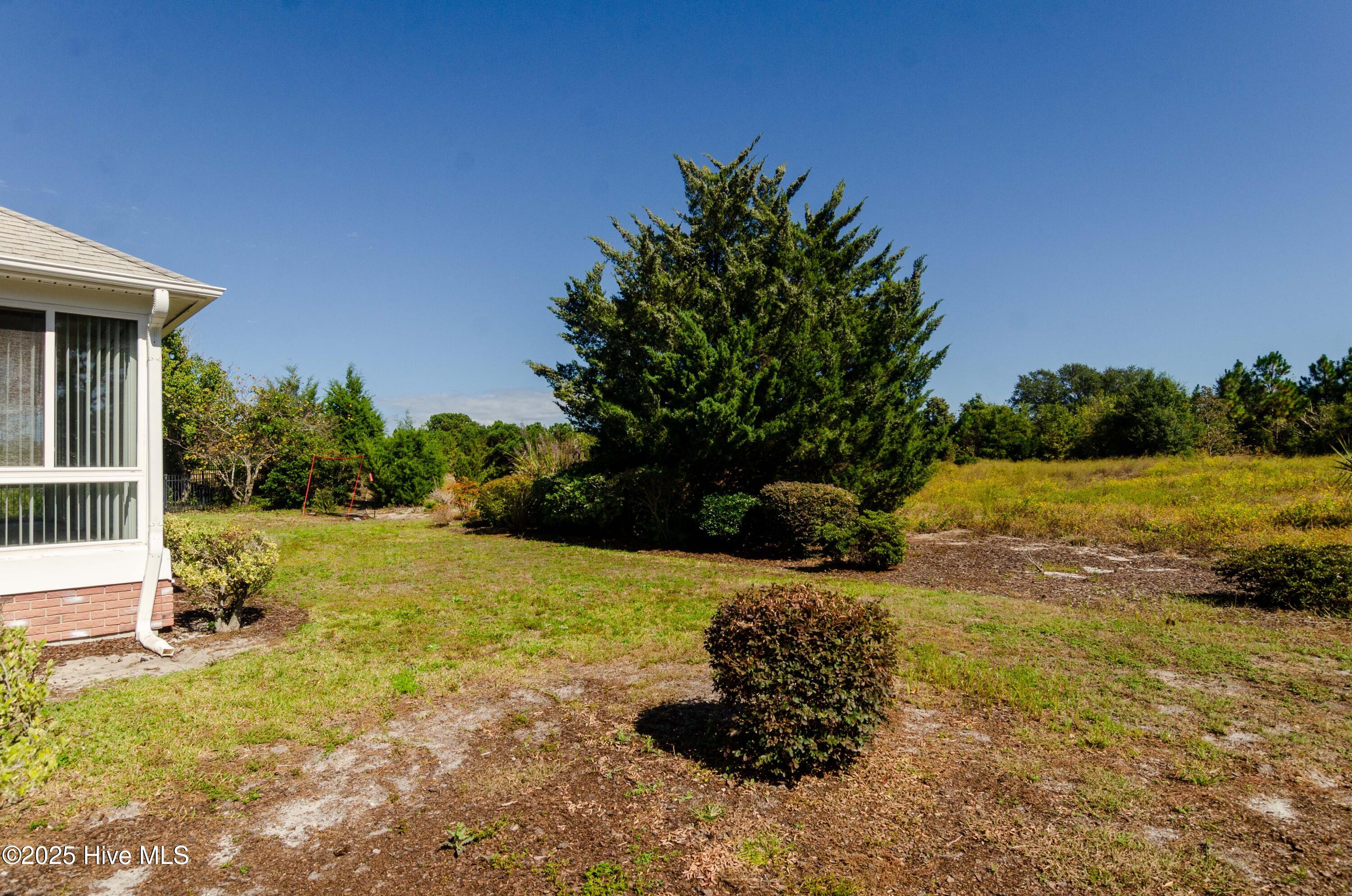 100563039 | Photo 24