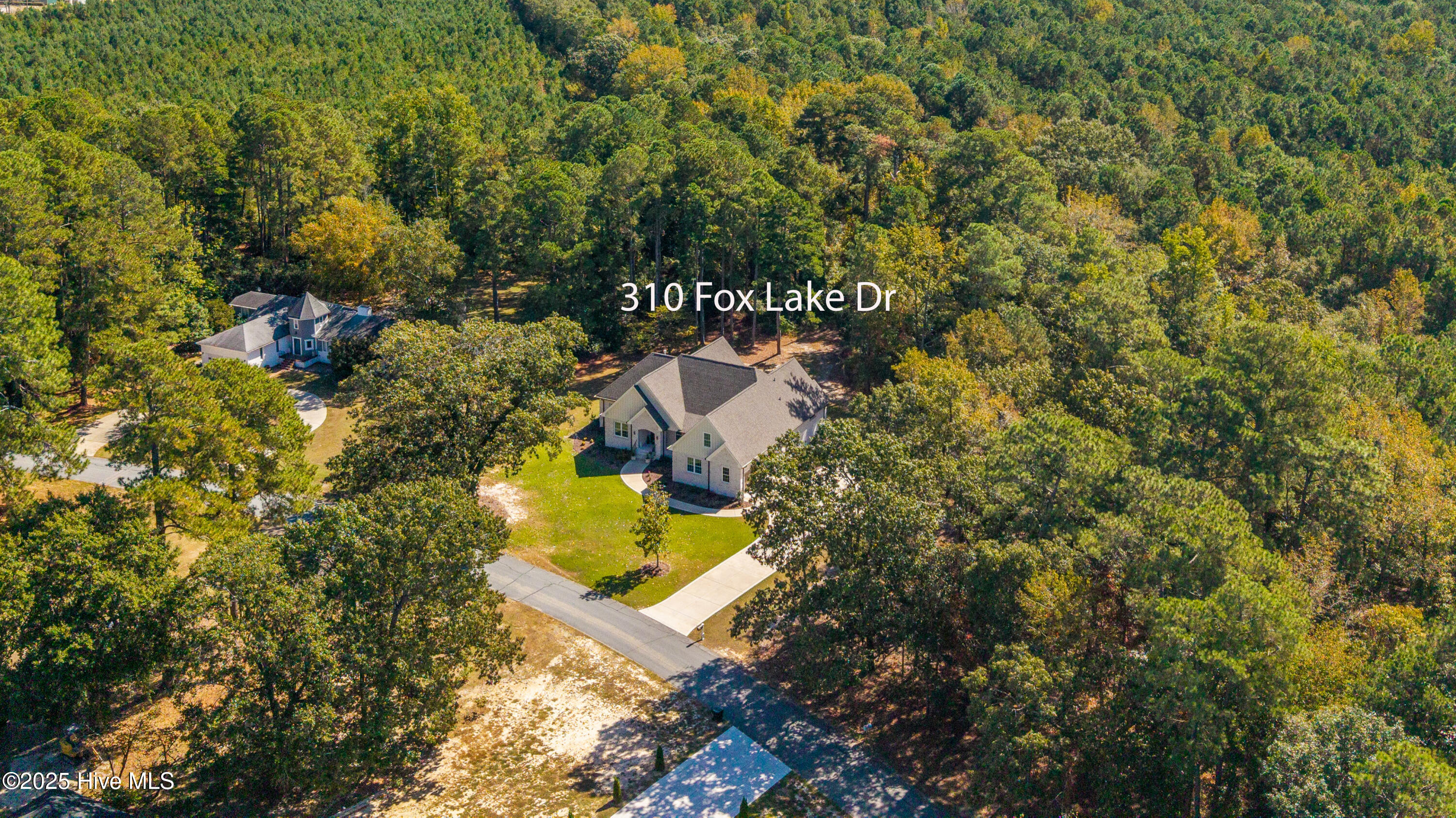 310 Fox Lake Dr1
