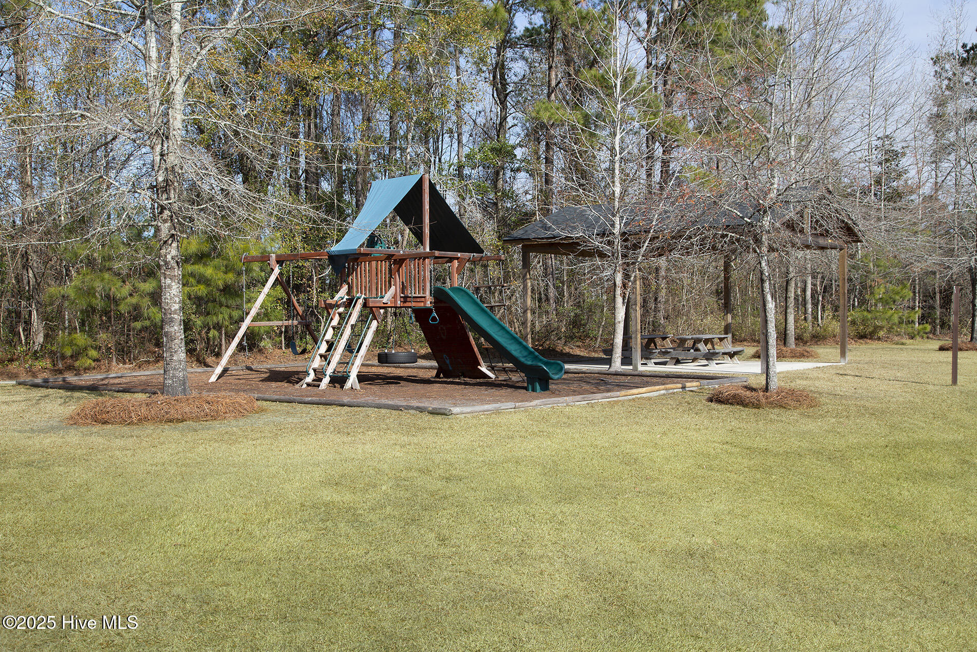 100526047 | Photo 38