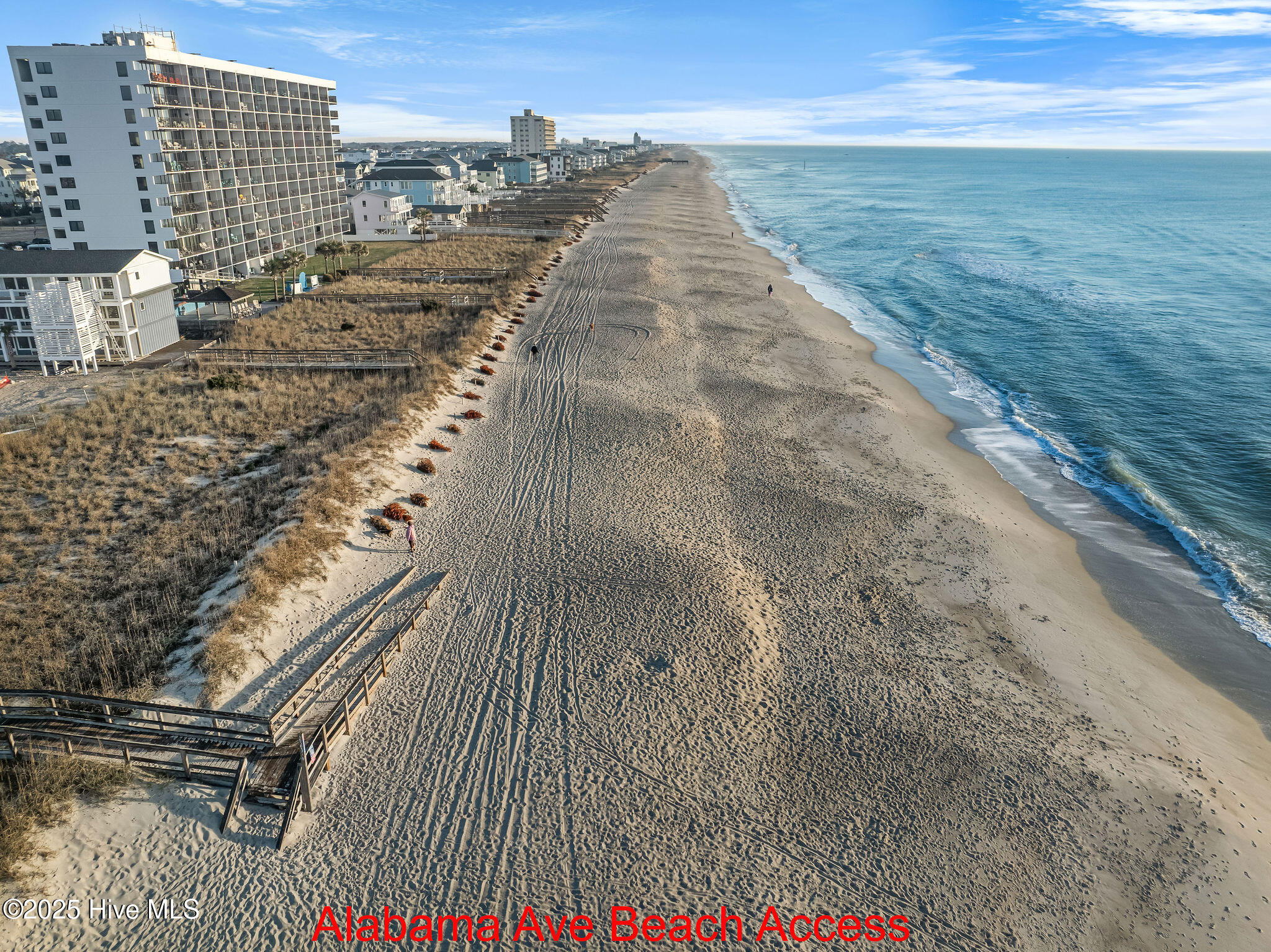 100493859 | Photo 29