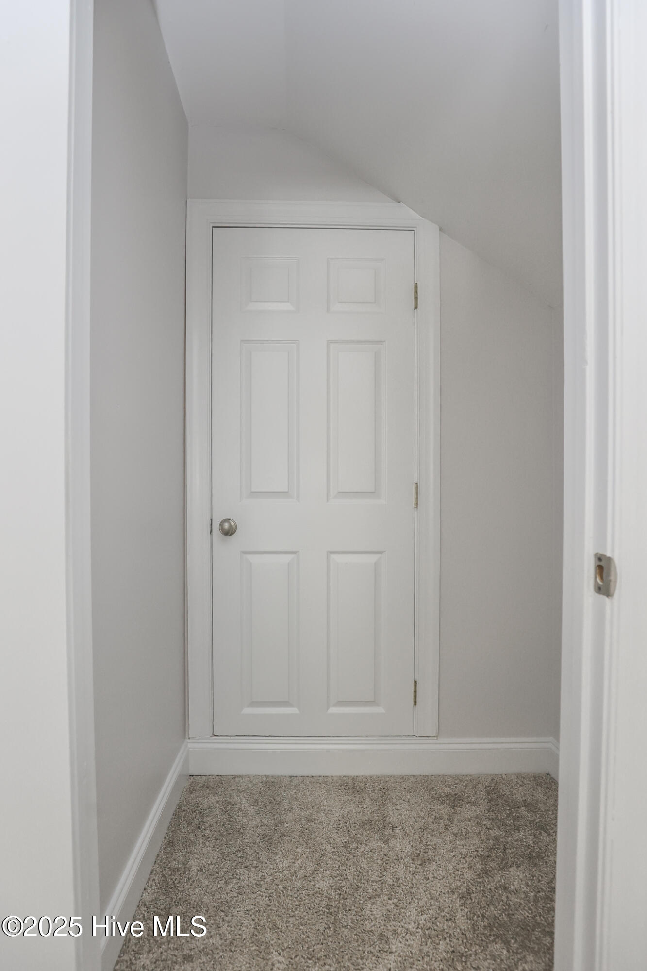 100530782 | Photo 23