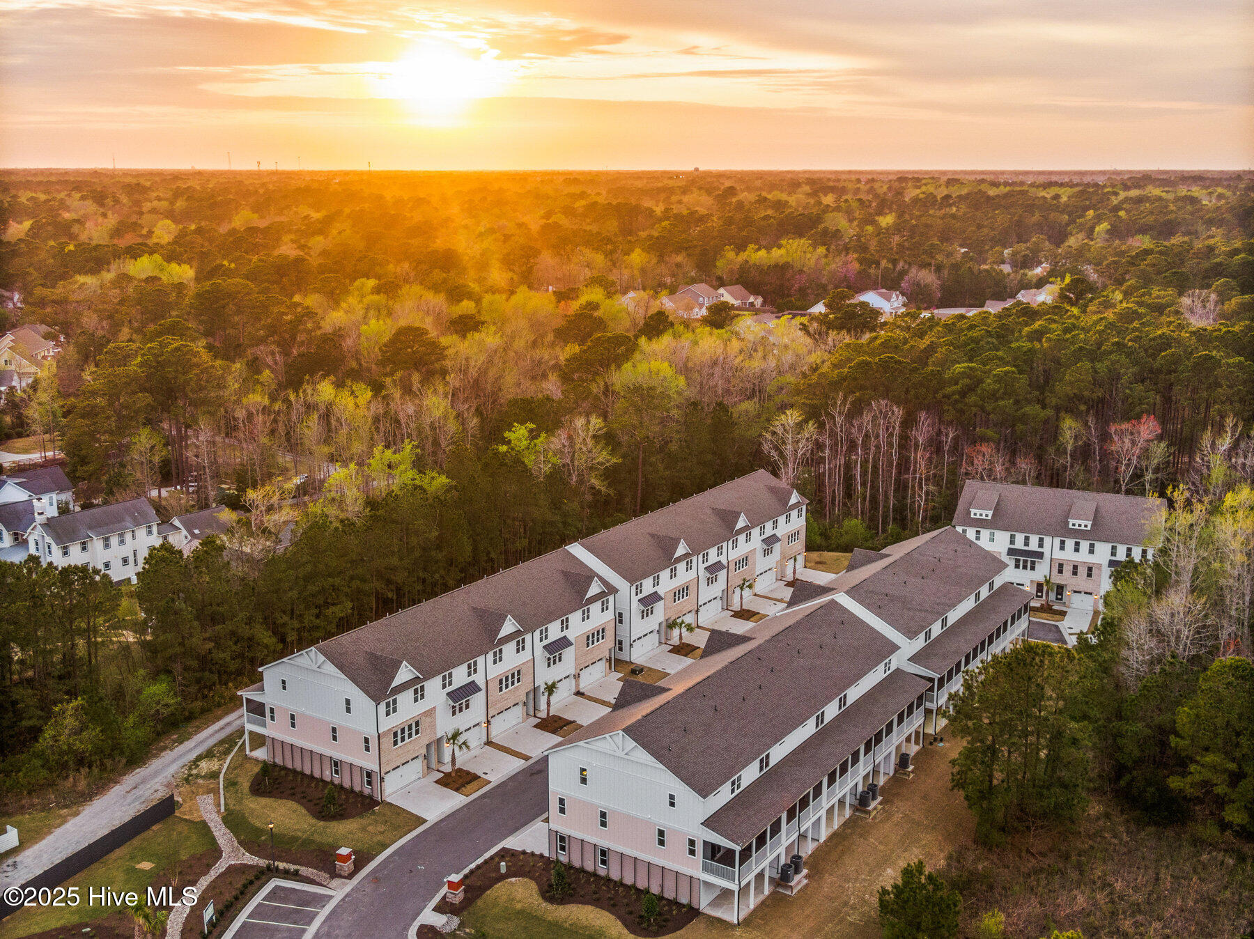 100499028 | Photo 42